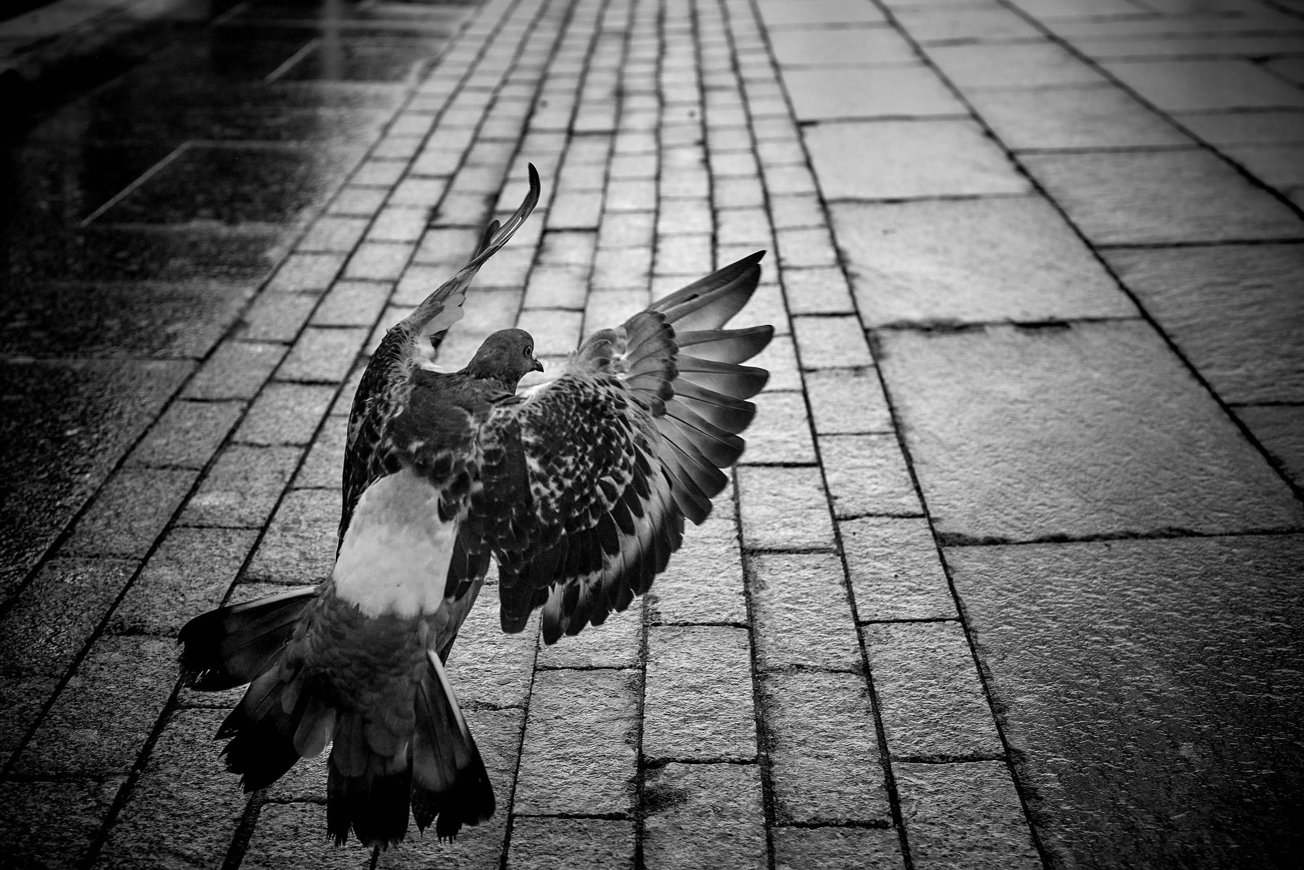 Уличная фотография в Москве от репортажного фотографа. Репортажный ивент фотограф в Москве Александр Гладкий