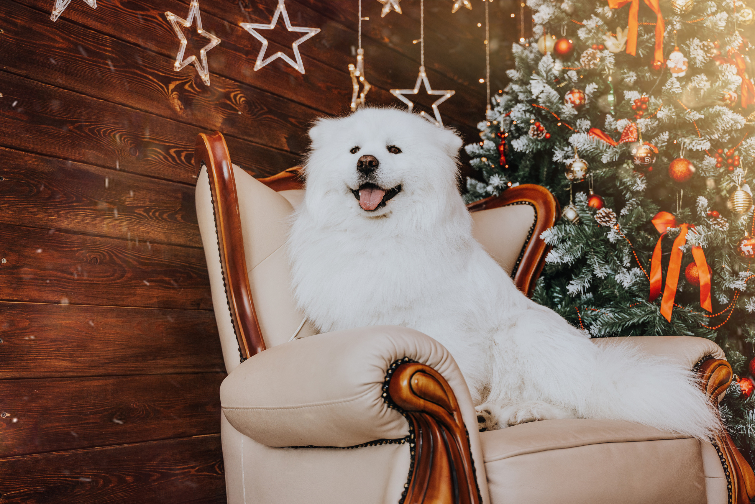 С самоедами. Фотограф Хабаровск