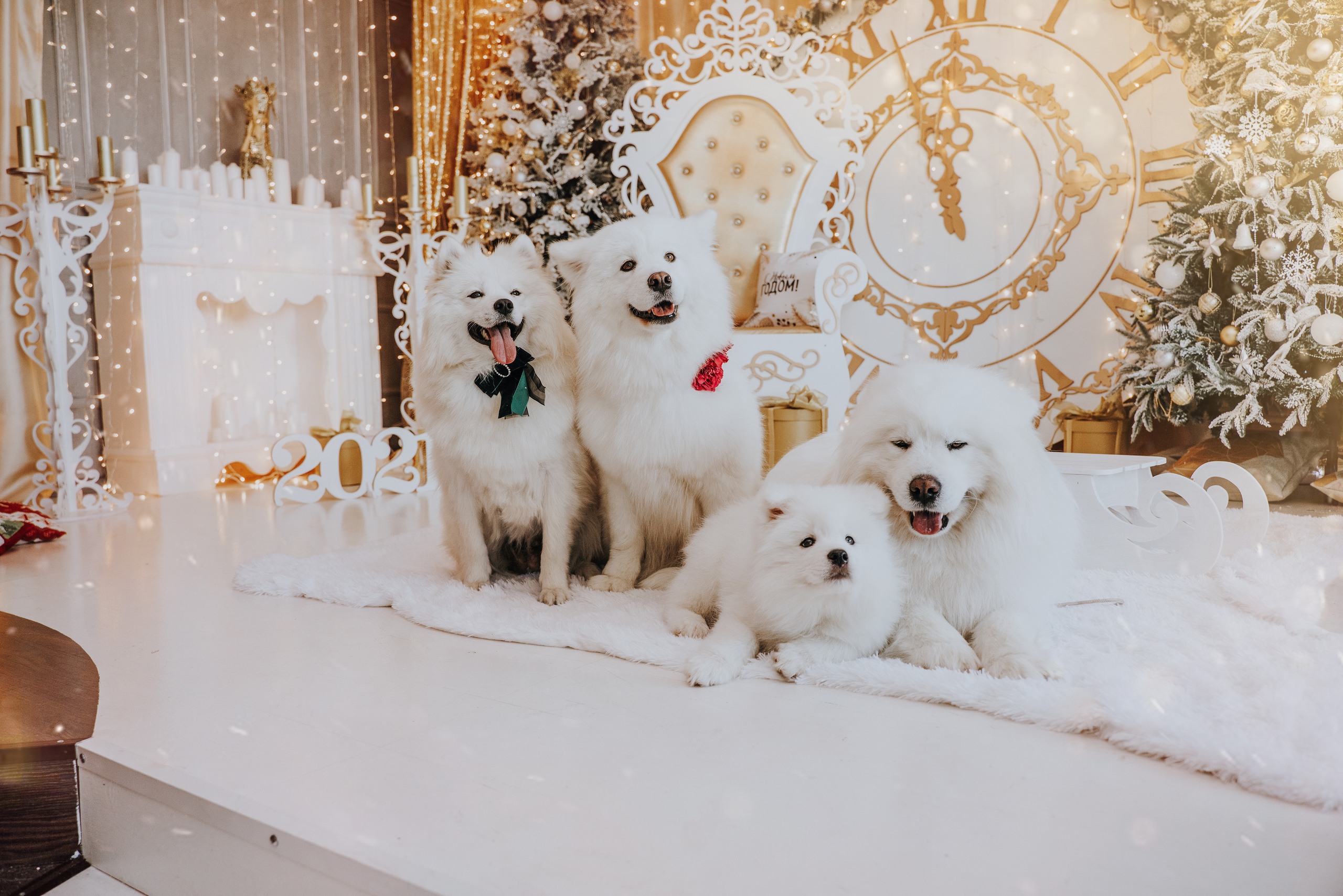 С самоедами. Фотограф Хабаровск