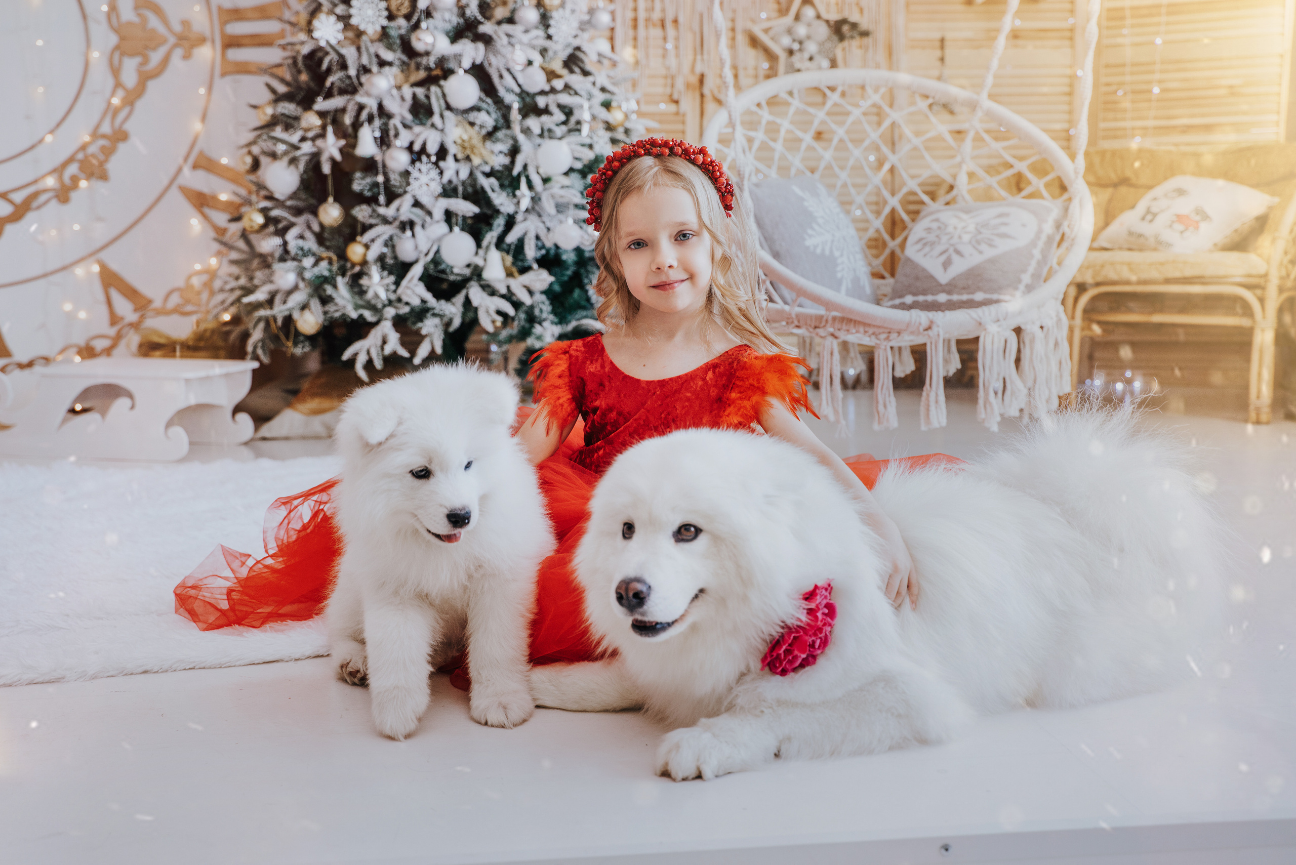 С самоедами. Фотограф Хабаровск