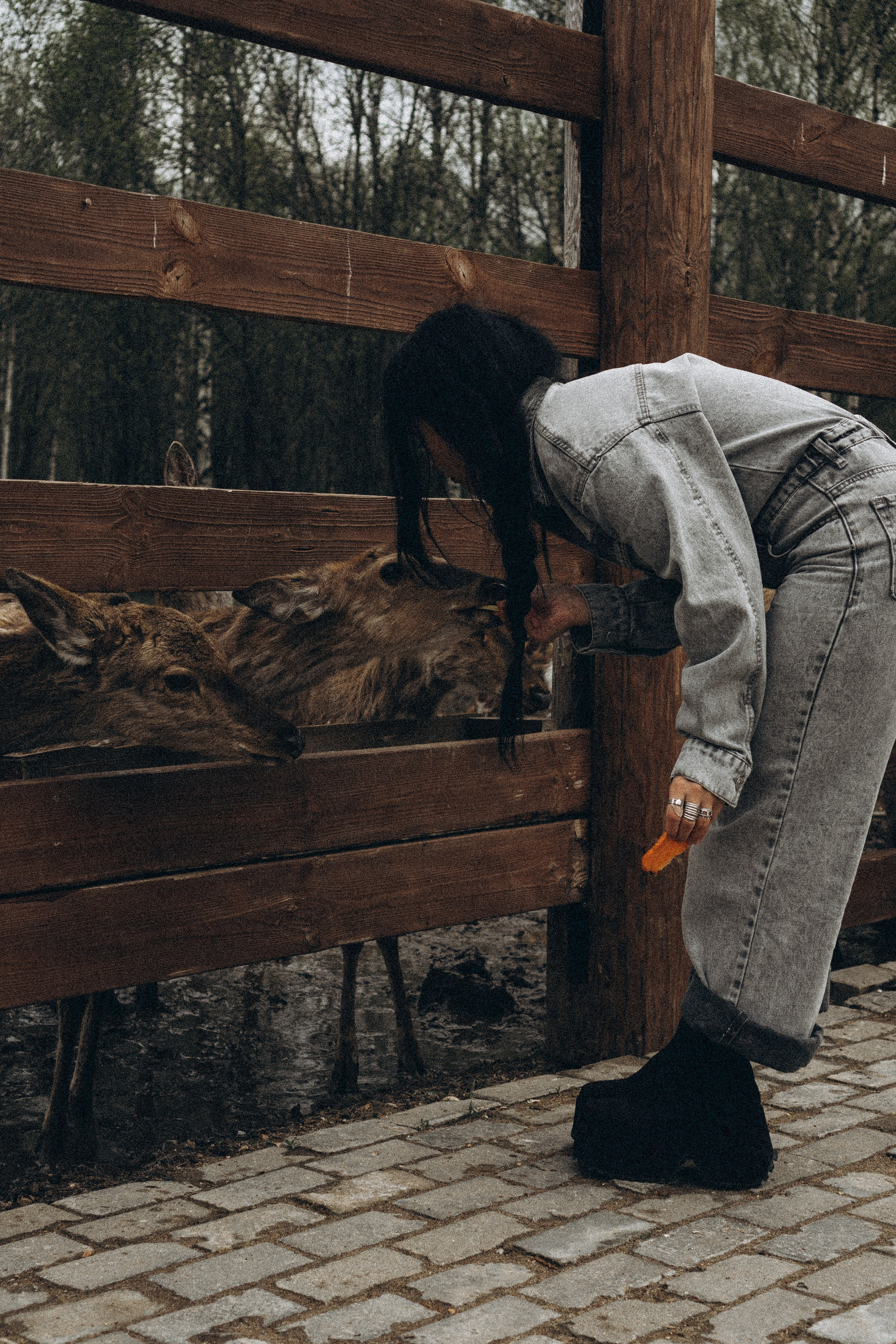 ОЛЕНЬЯ ФЕРМА В ТВЕРИ. Профессиональный фотограф, Санкт-Петербург — Виктория Богомолова