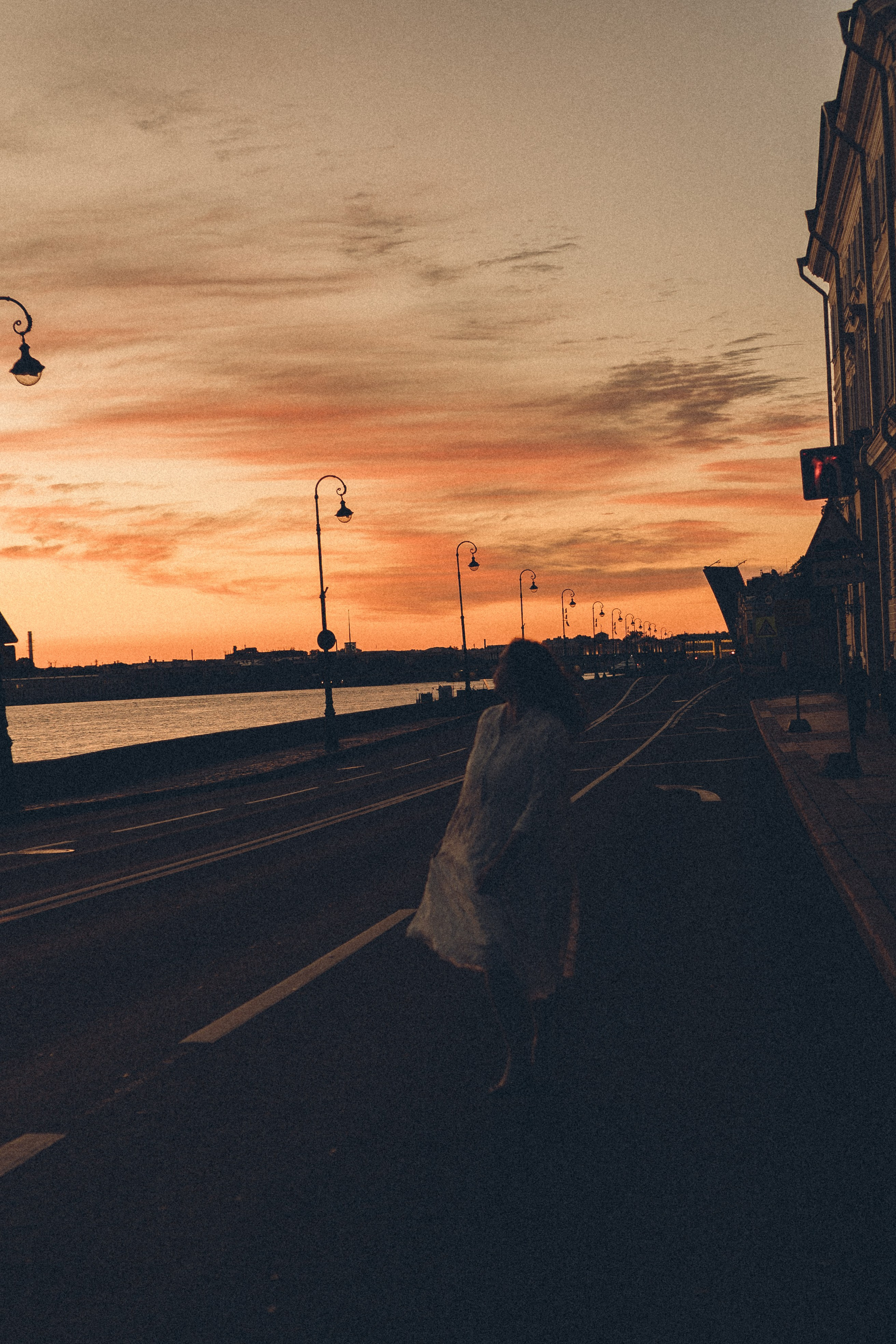 РАССВЕТ С РАЗВОДНЫМИ МОСТАМИ. Профессиональный фотограф, Санкт-Петербург — Виктория Богомолова
