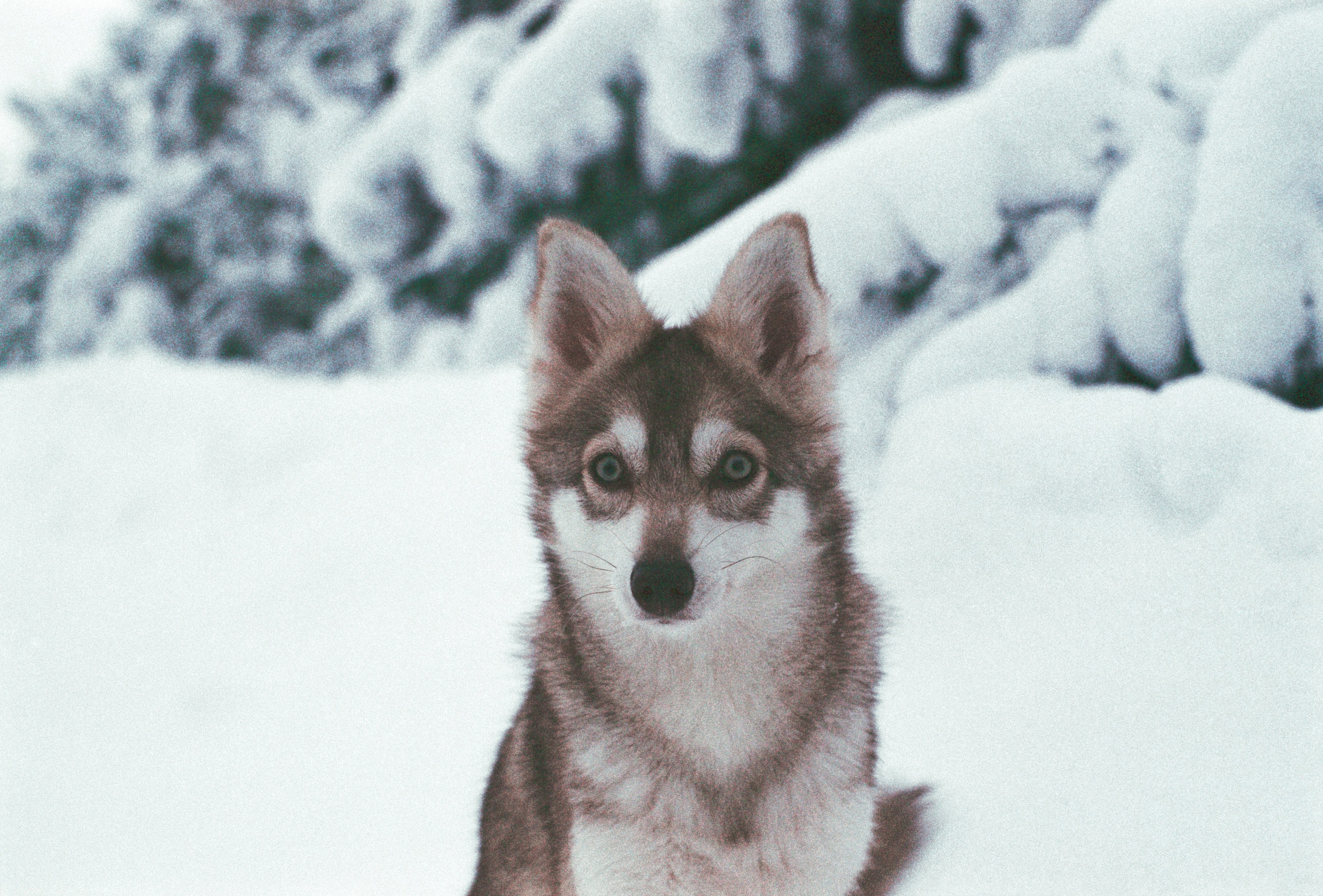 V2. Stylist and film photographer Anastasia Shlokova