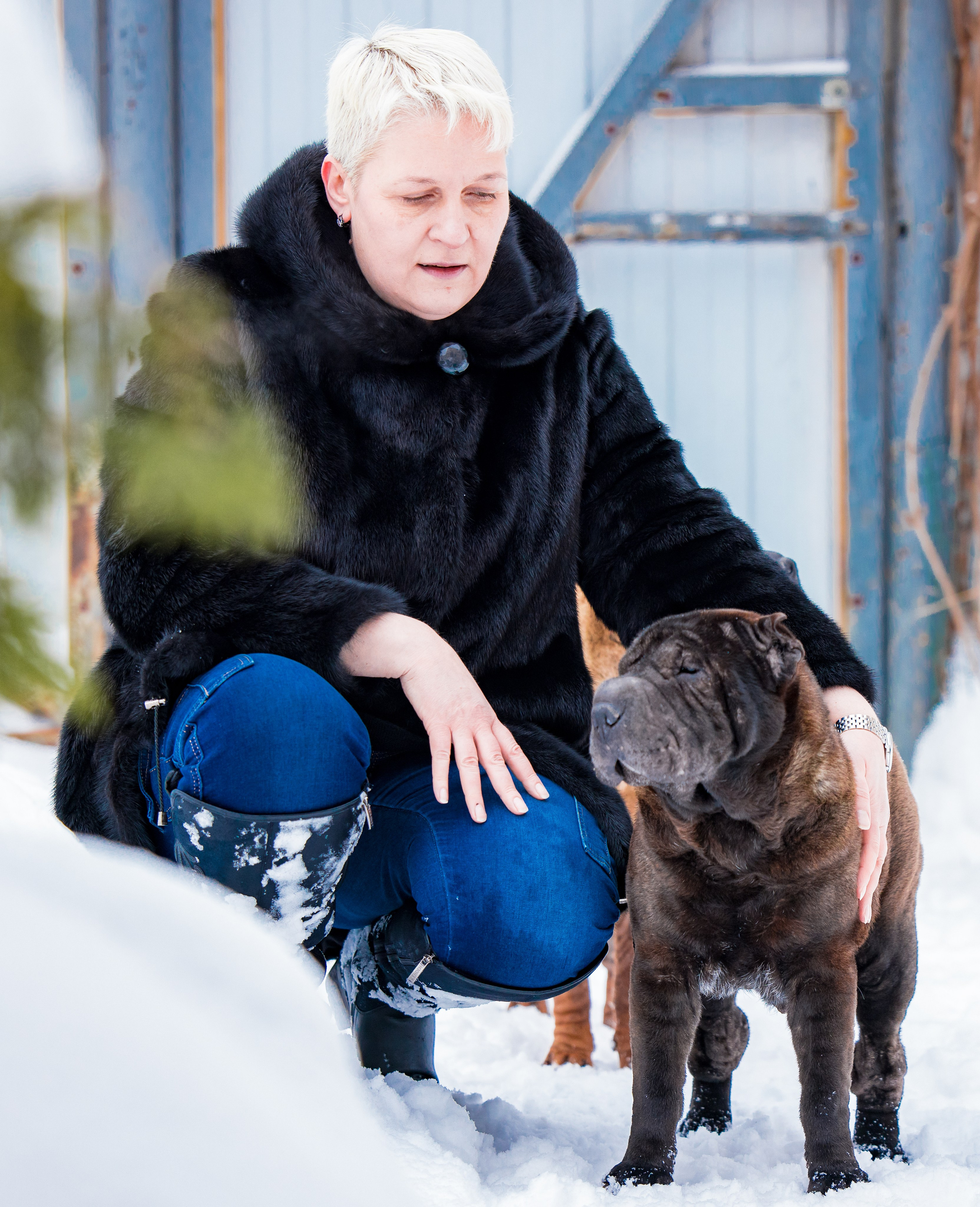 В гостях у шарпеев 16.01.2024. Фотограф-анималист Юлия Германика