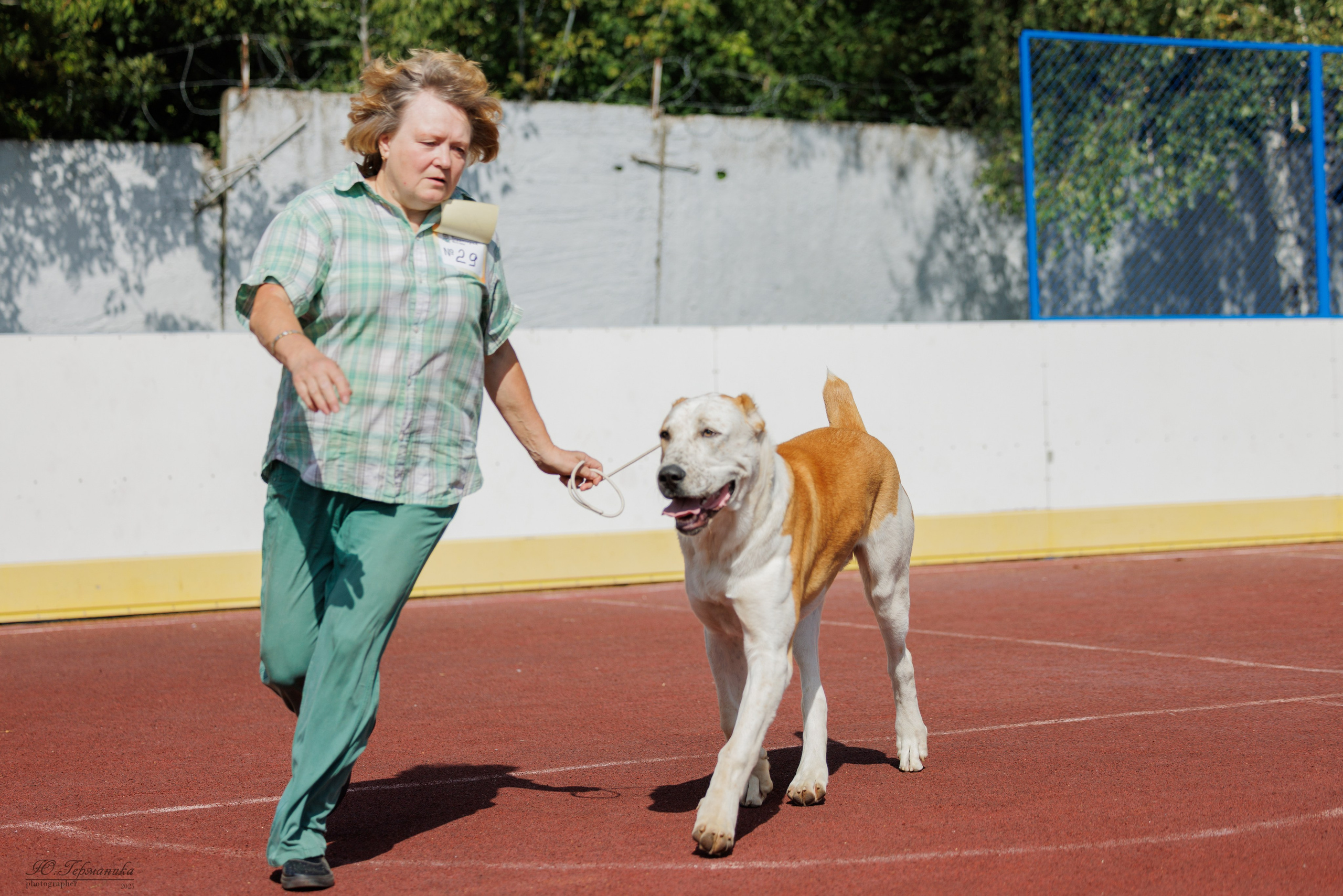 Коломна 30.08.2025. Фотограф-анималист Юлия Германика
