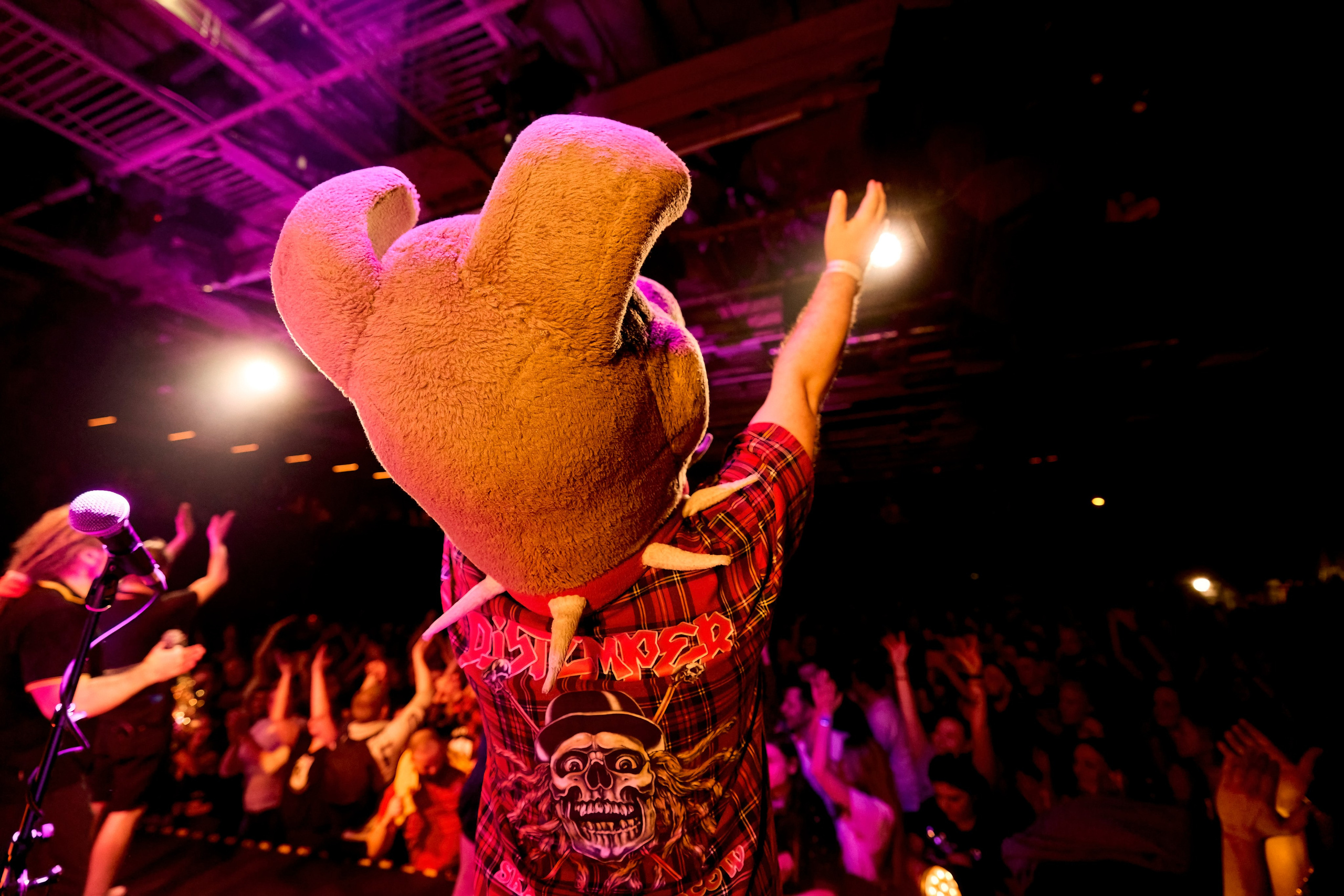 DISTEMPER / AGLOMERAT / 24.11.2023. Ekhovanov | фото- видеосъемка