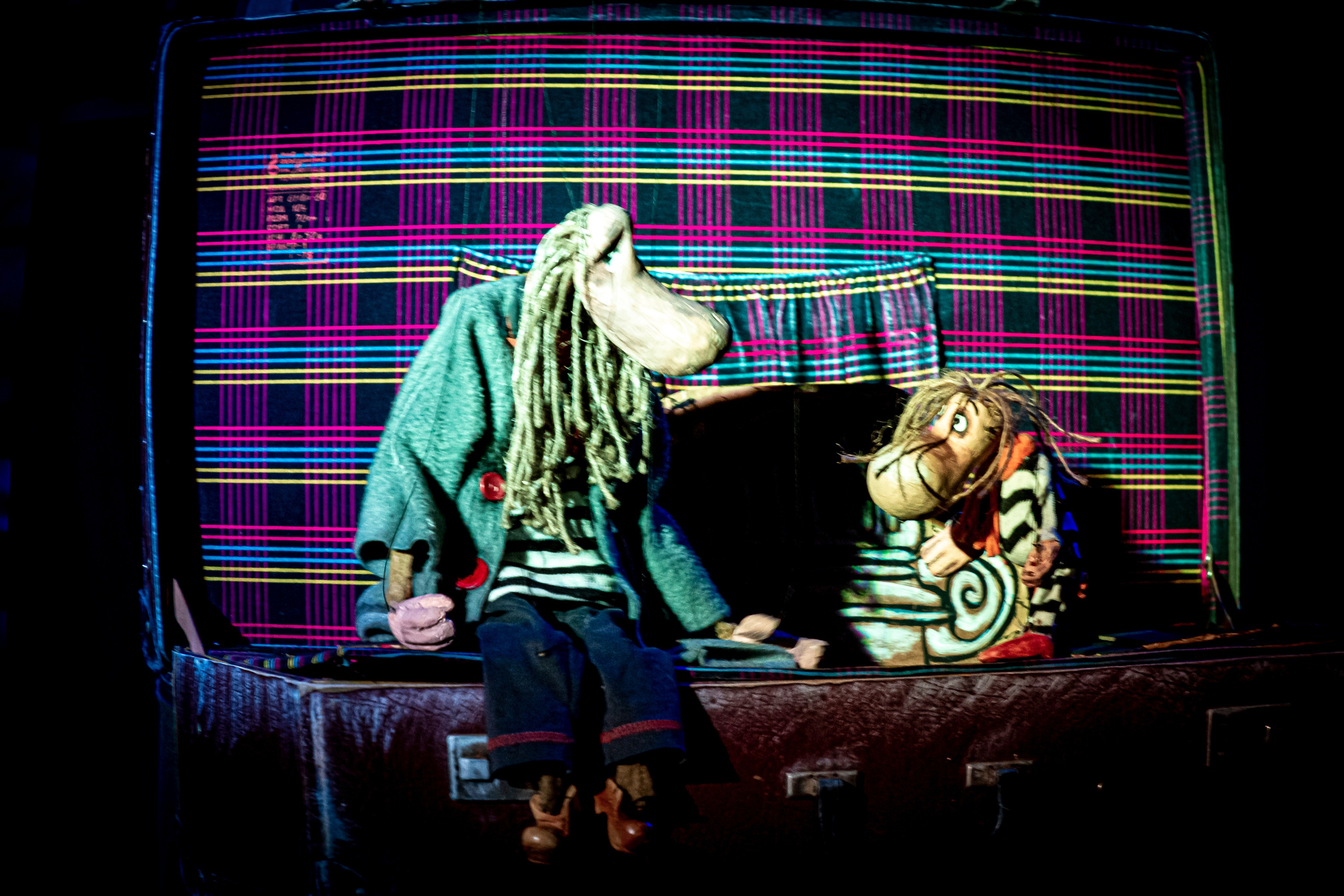 «Муми тролли и большое наводнение». Фотограф в Сочи Юрий Шептаев