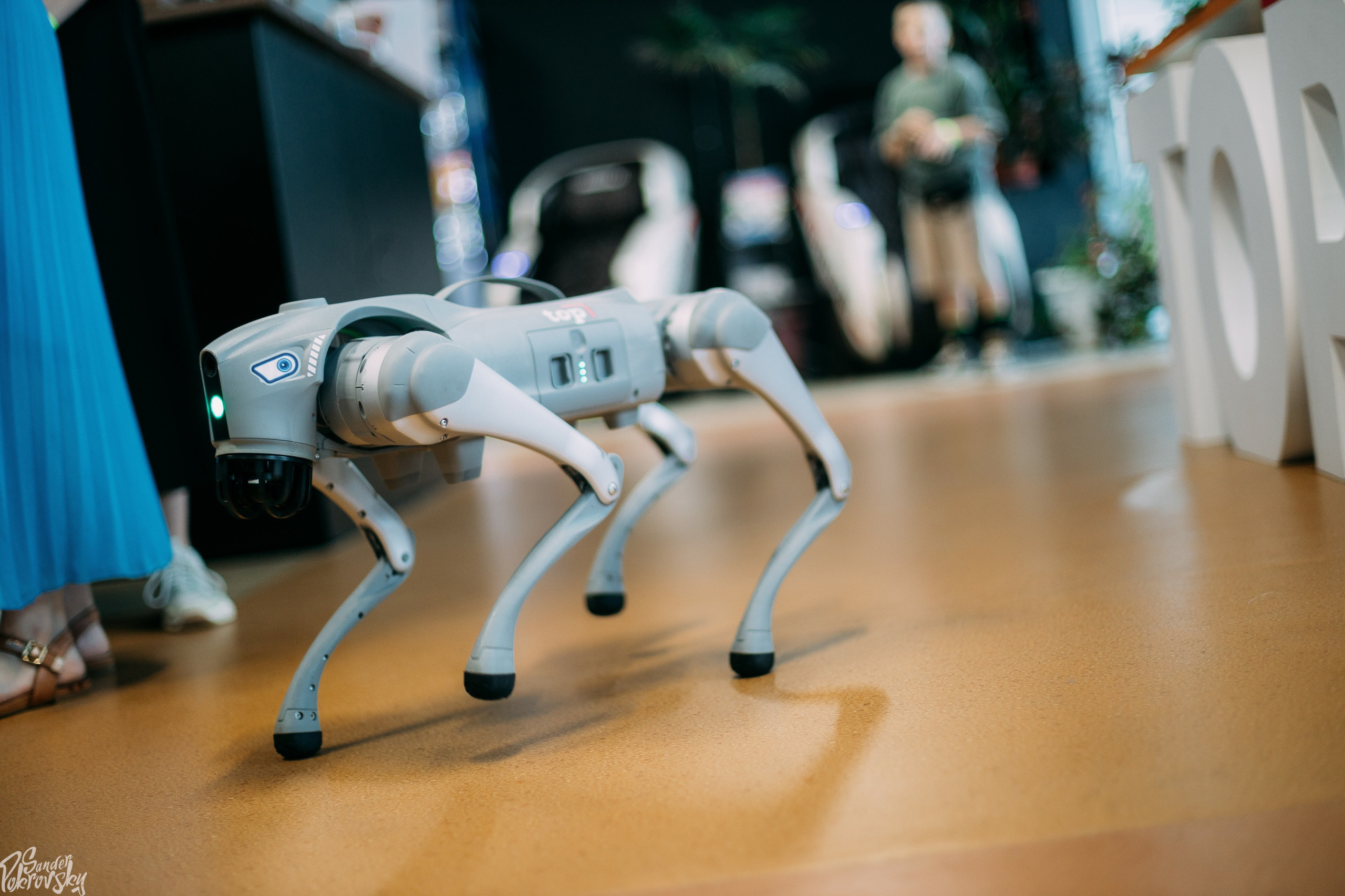 Zaga Game. Свадебный и репортажный фотограф в Чебоксарах Покровский Александр