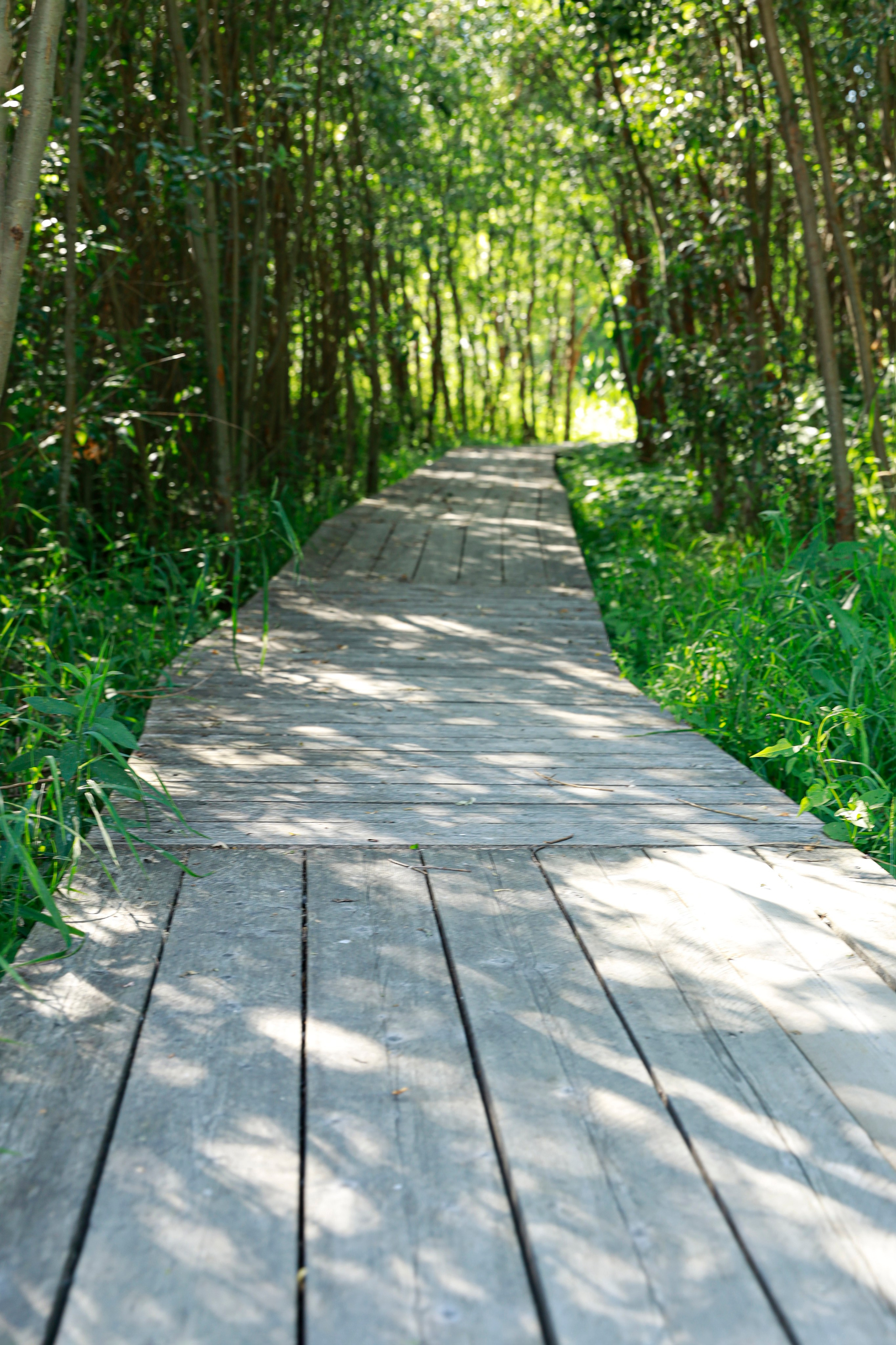 Вне студии. Фотограф Светлана Заплатина