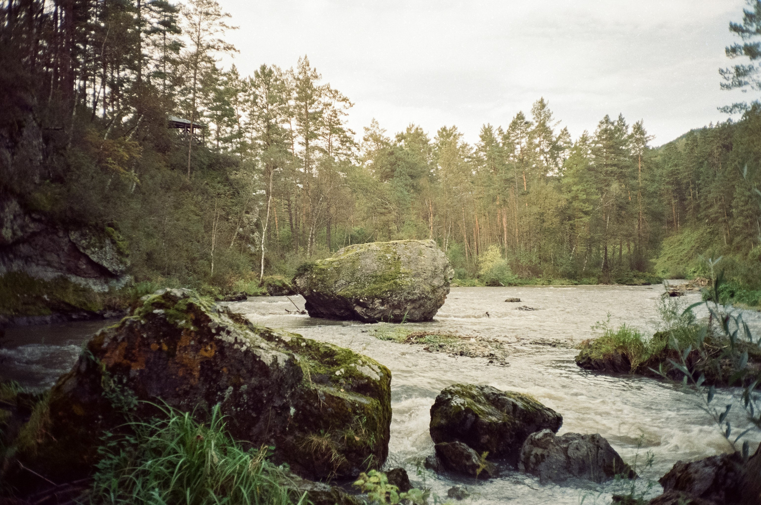 Горно-алтайский ботанический сад