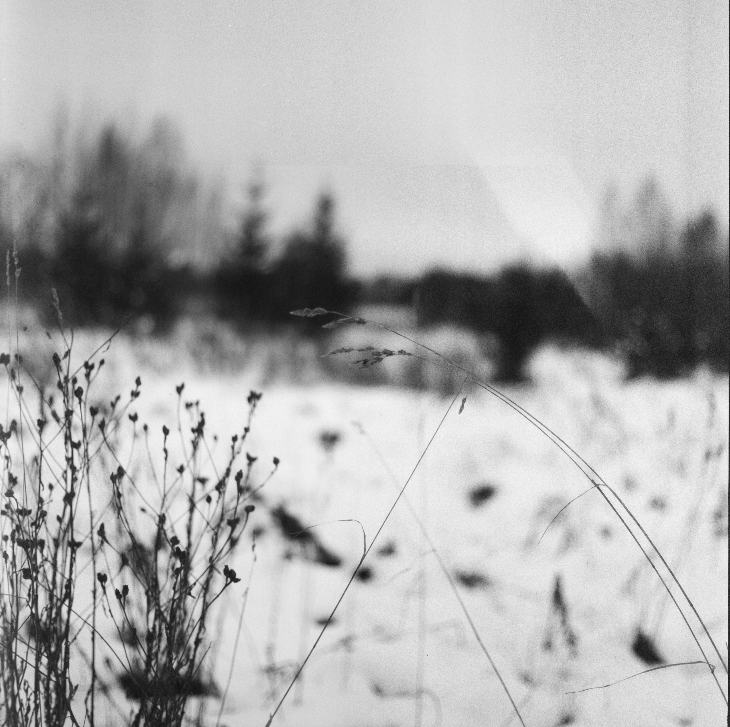 Kowa Super 66 — Kowa 85 mm f/2.8 / SFL Double-X Aerographic 400 (Kodak 2405)