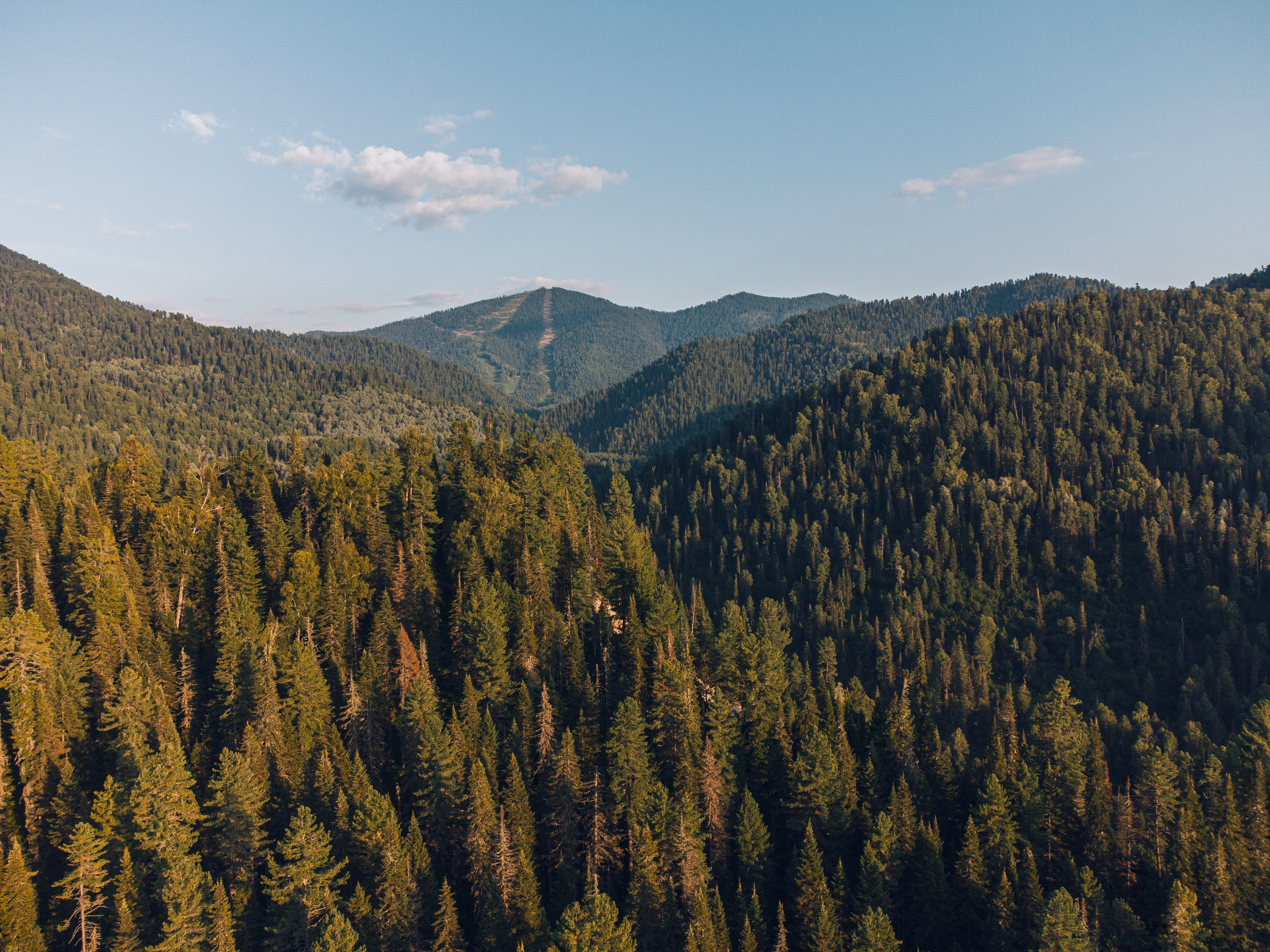 Алтай. Gusarov Travel Photography