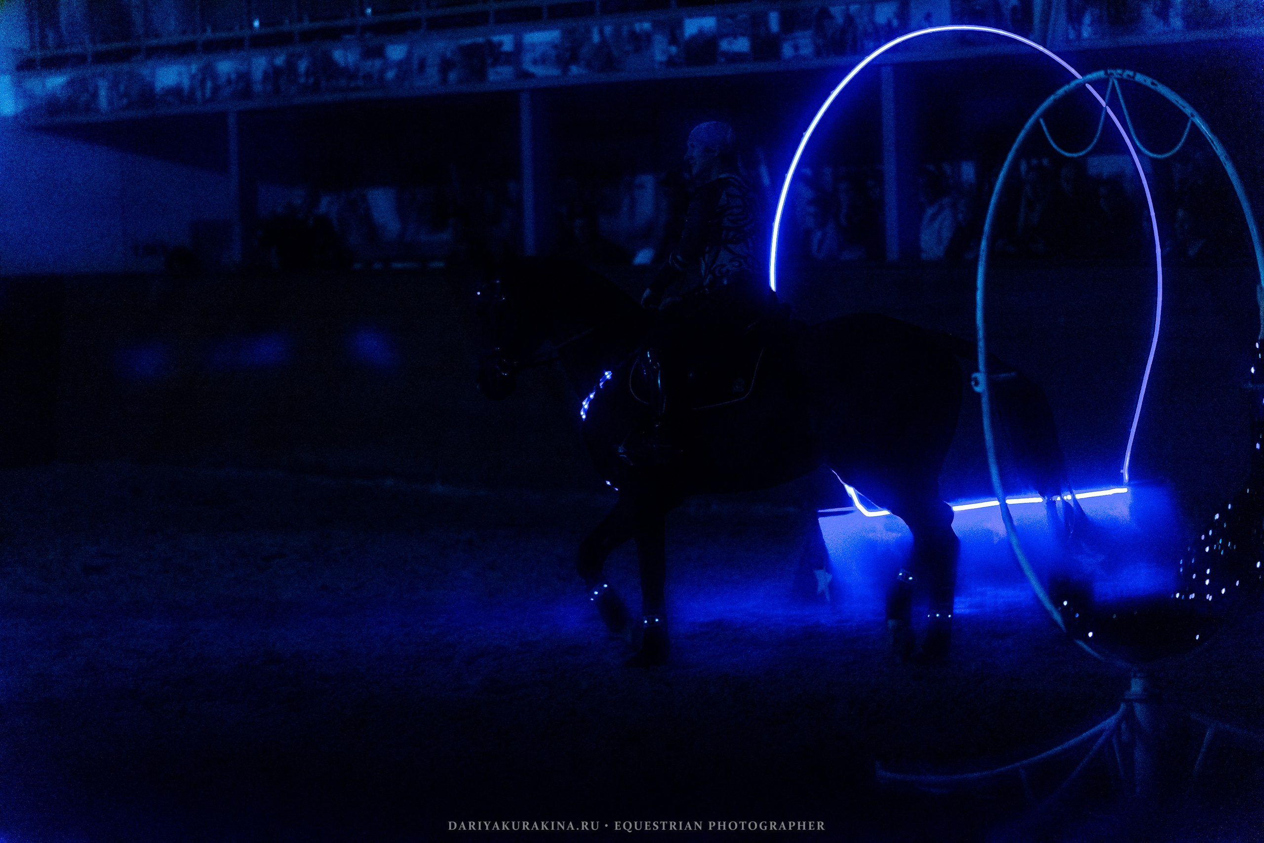 Конное представление «Дыхание Звёзд». Конный фотограф Куракина Дарья • Фотосессии с лошадьми