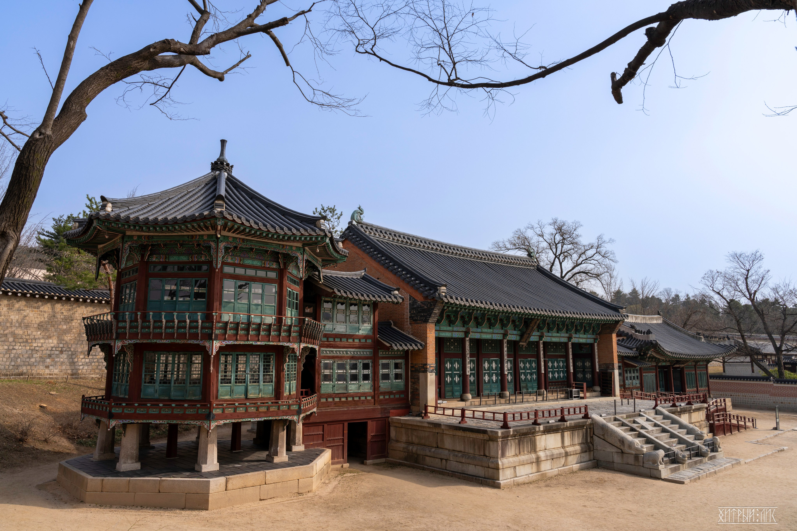 Южная Корея. Фотограф-путешественник Самойлов Максим «Sly Fox»