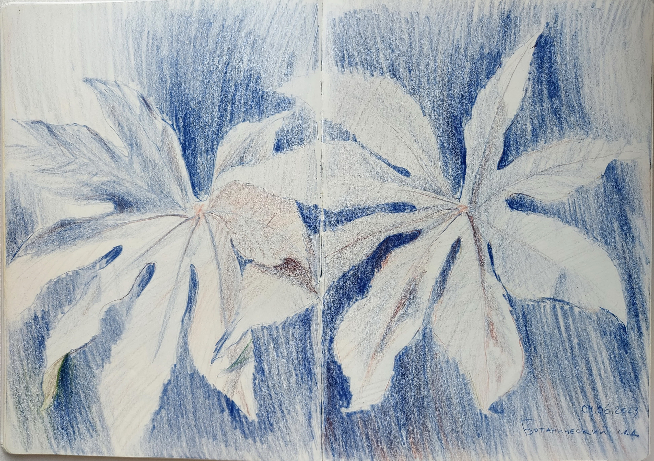 Quick Sketches. Alexander Manaenkov | Watercolor Artist from Siberia