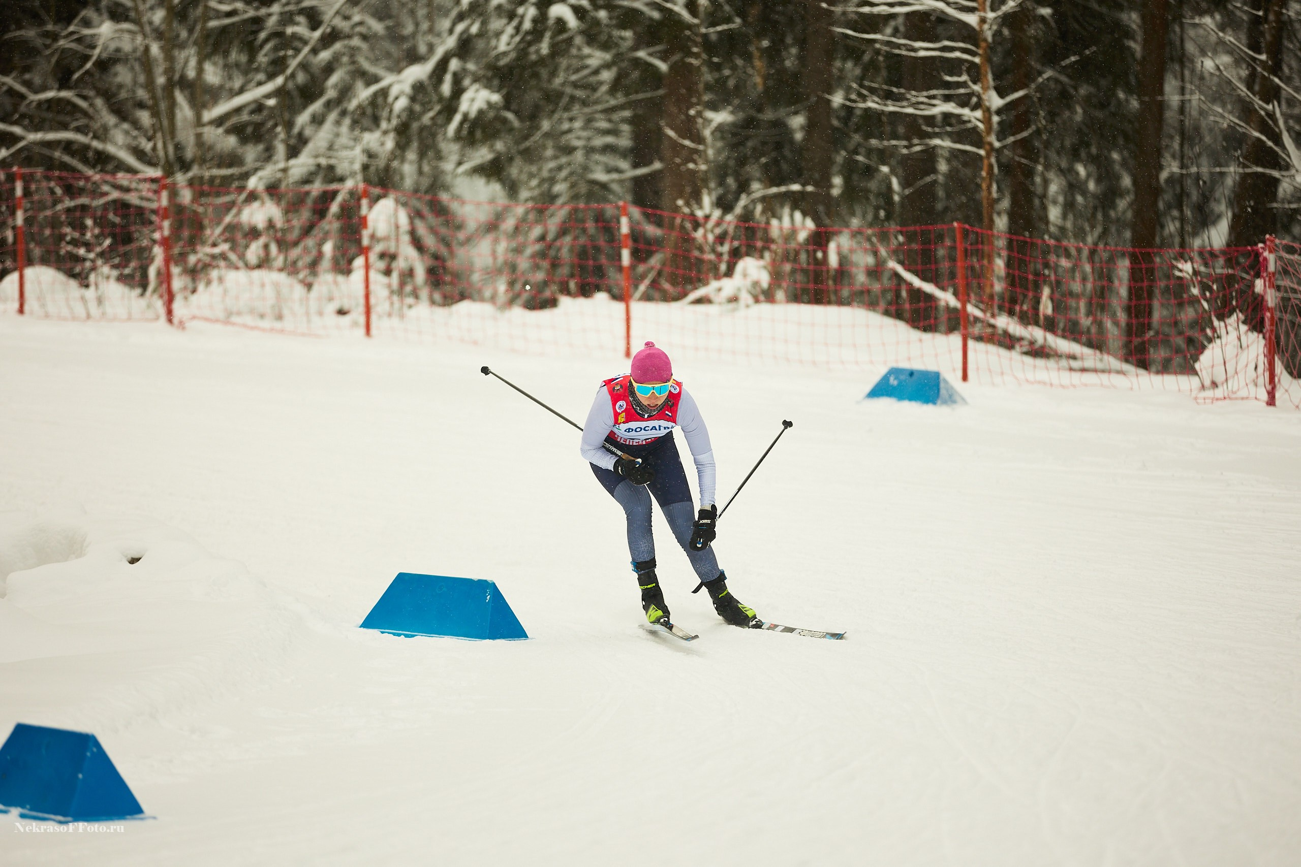 Кубок России по Лыжным гонкам. Спортивный фотограф Некрасов Денис