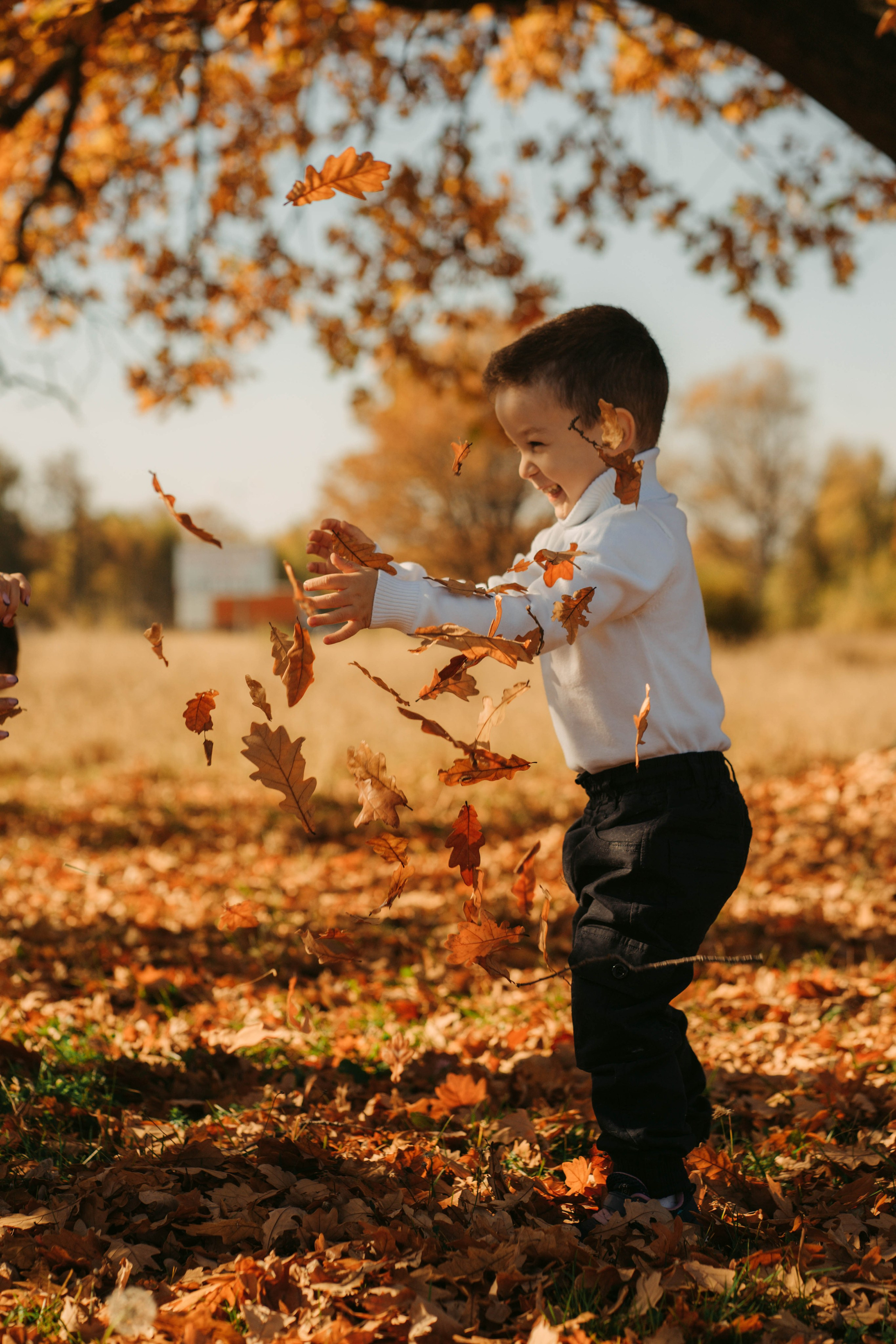 Купаясь в золоте. Olgamashh