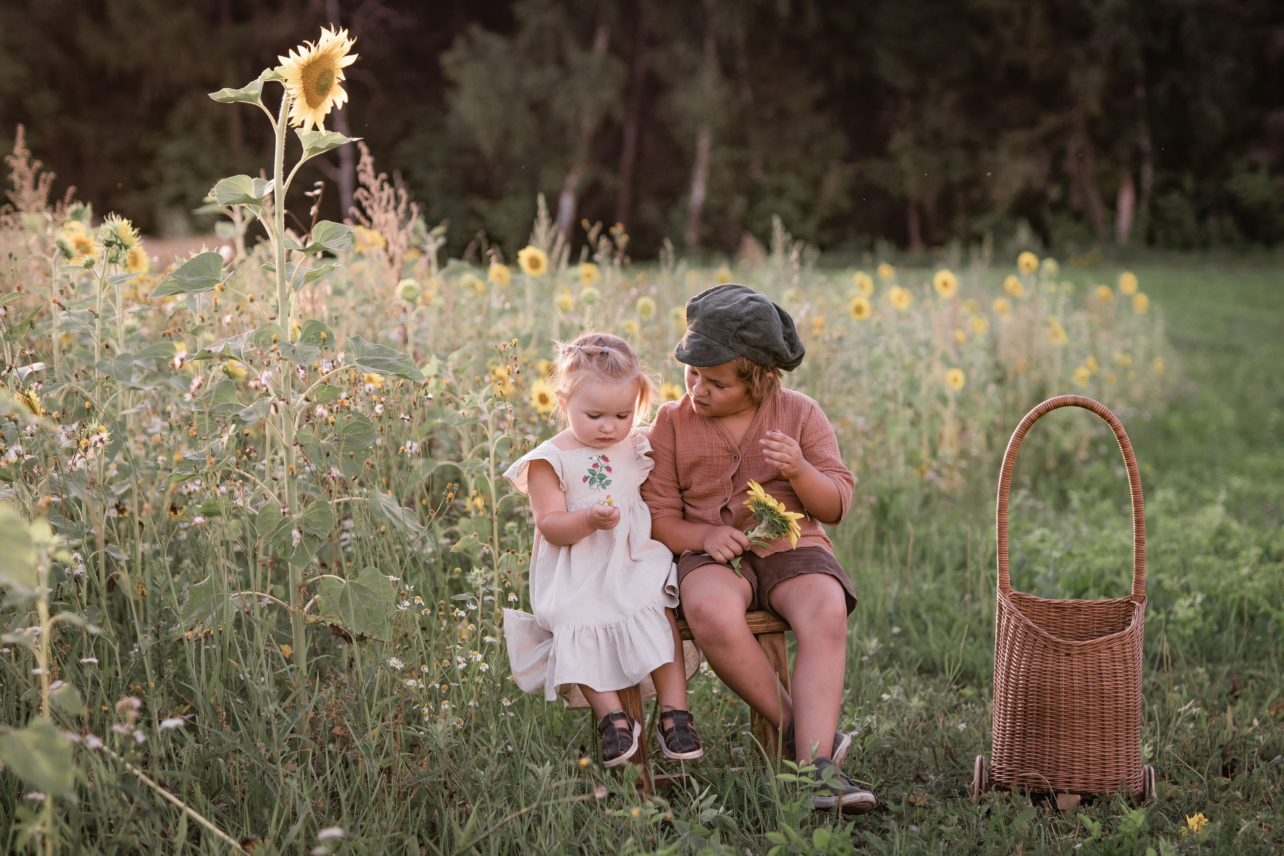 Прогулка с подсолнухами. Семейный фотограф Ефремова Виктория
