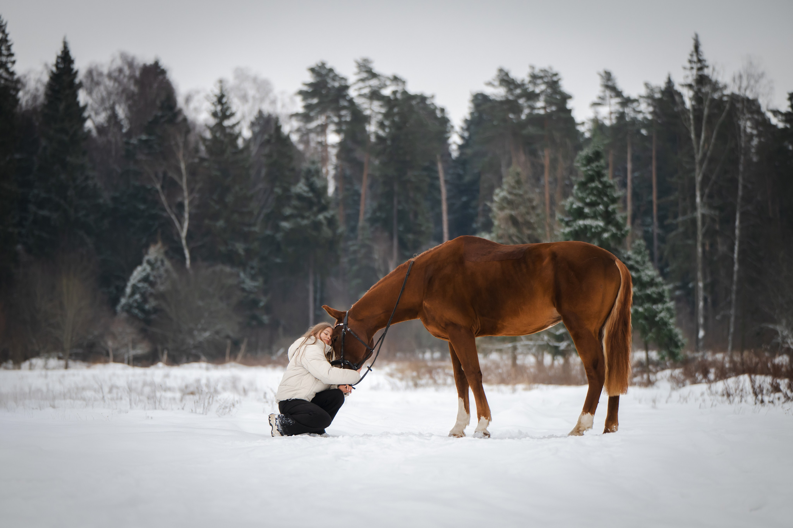 Виктория и Лео. Фотограф Анималист в Москве Анастасия Жучкова