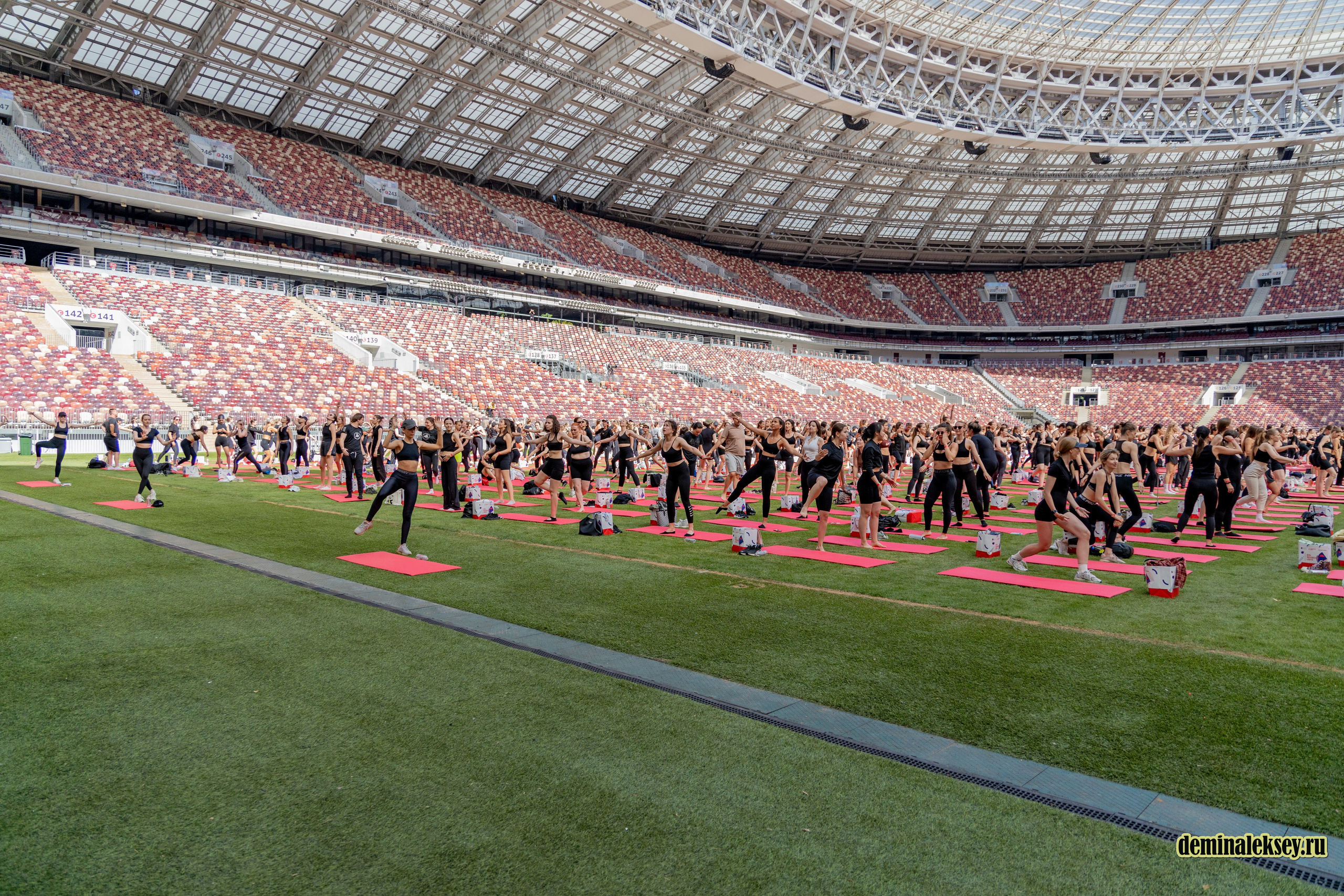 День Московского спорта в Лужниках 2024. Репортажный, семейный и студийный фотограф в Москве Демин Алексей