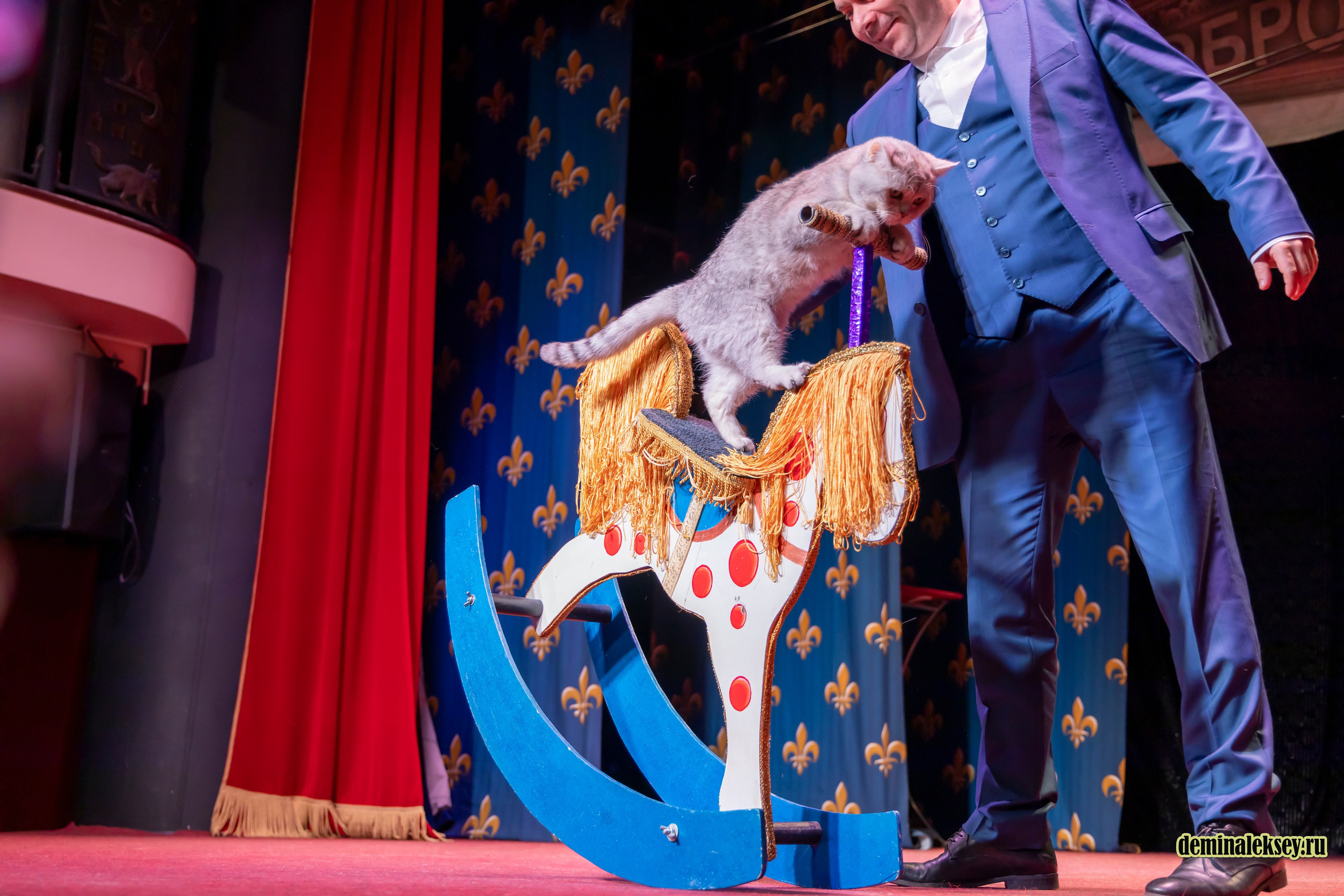 Театр кошек Куклачева 26 февраля 2025. Репортажный, семейный и студийный фотограф в Москве Демин Алексей