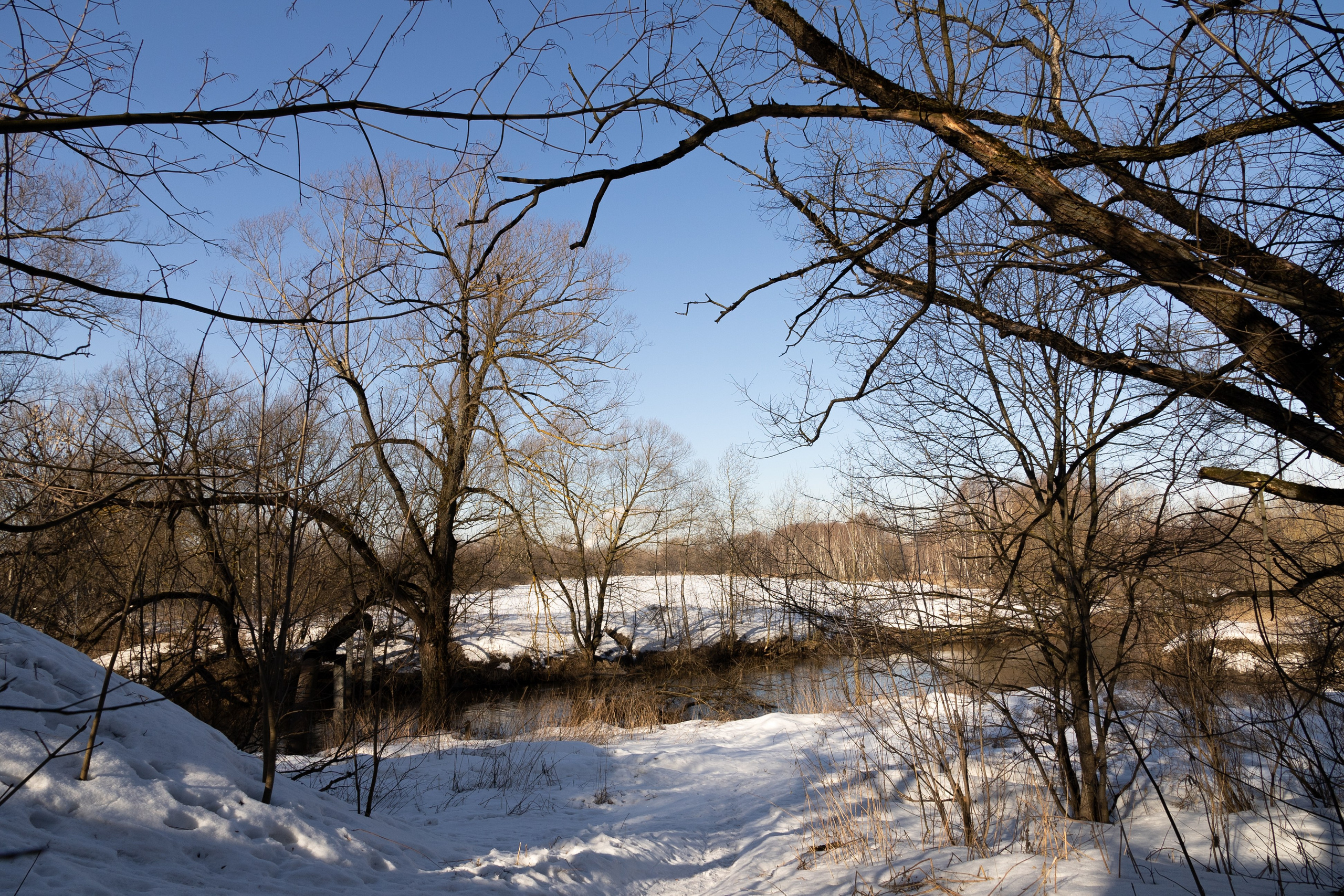 Я здесь живу. DASHA KALNINA