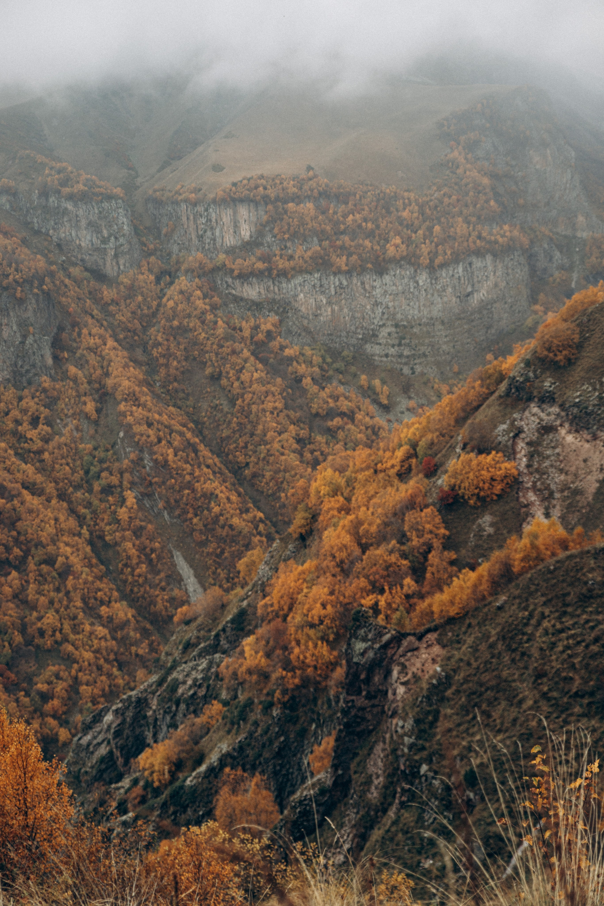 Грузия. Репортажный и детский фотограф в Минске