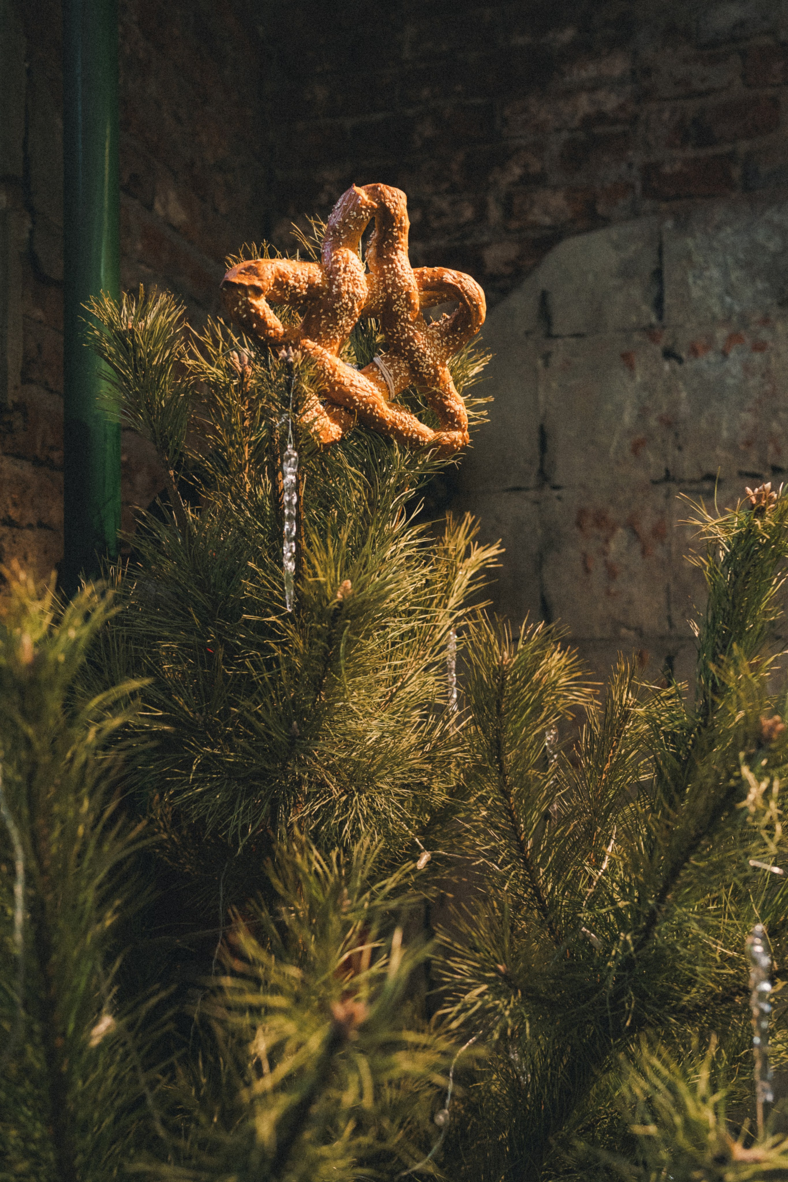 DNA. Фотограф Илья К. в Москве