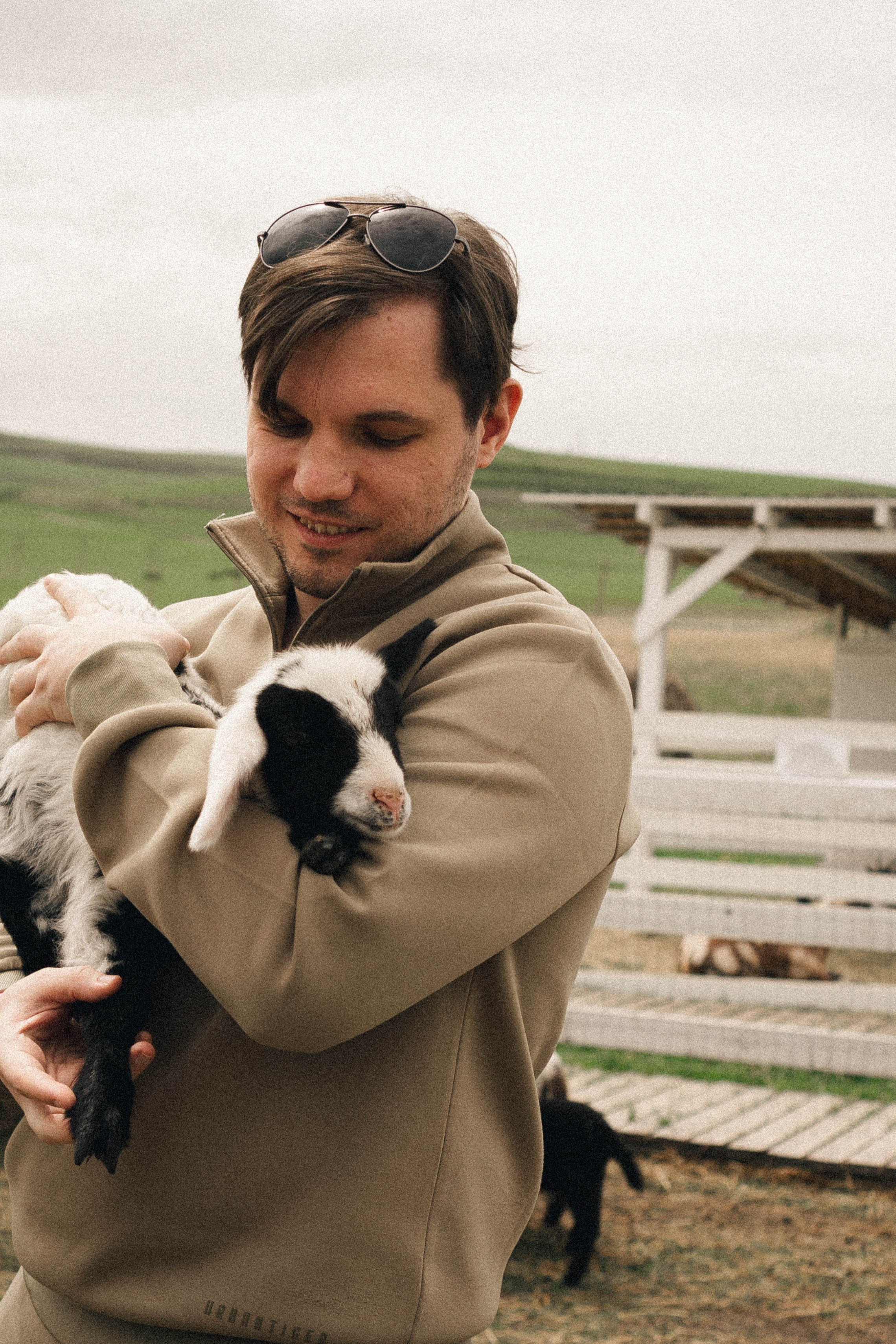 Ферма Альпак. Профессиональный фотограф, Санкт-Петербург — Виктория Богомолова