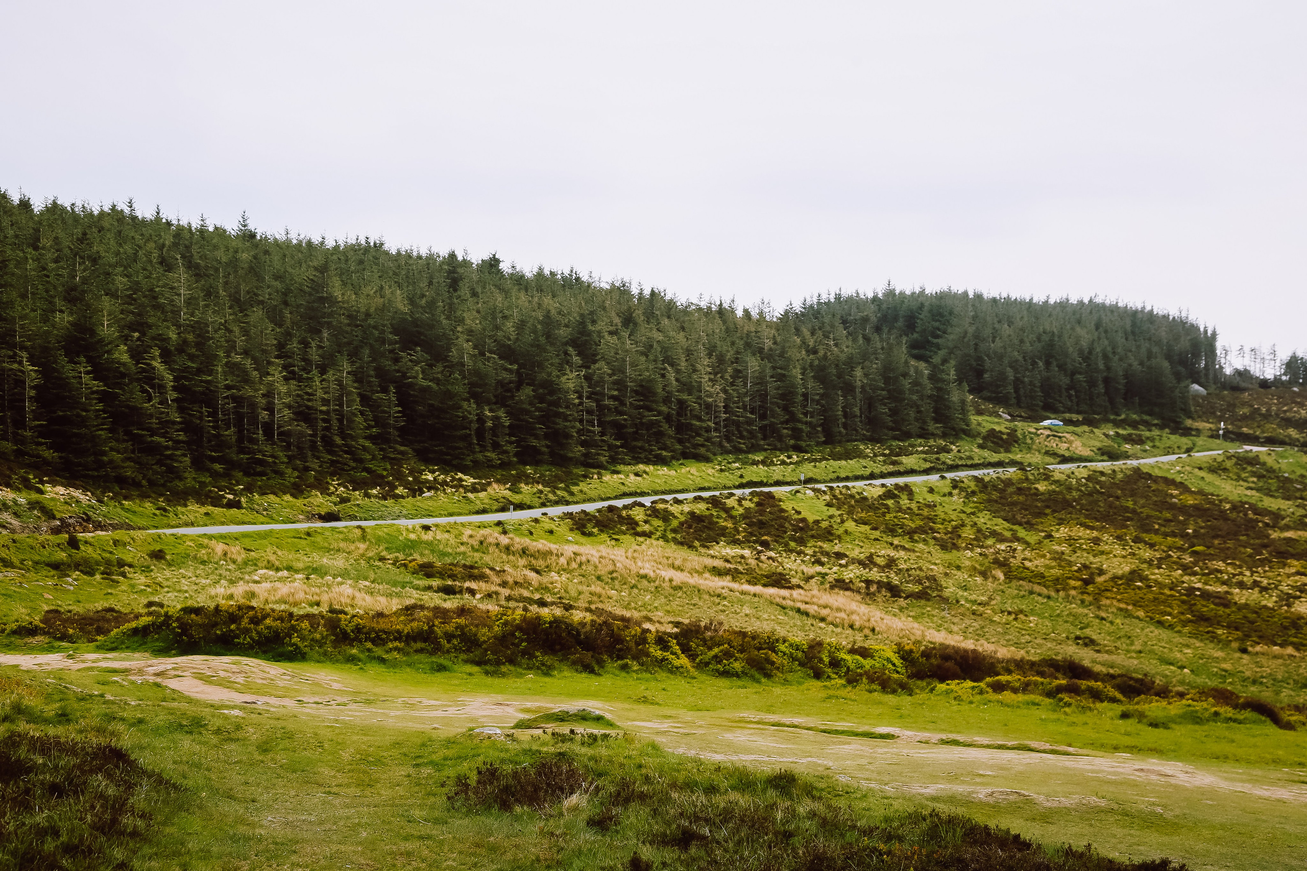 Ирландия: Горы Уиклоу. Дарья Письменюк / Darya Leitstern — фотограф, музыкант, журналист, путешественник