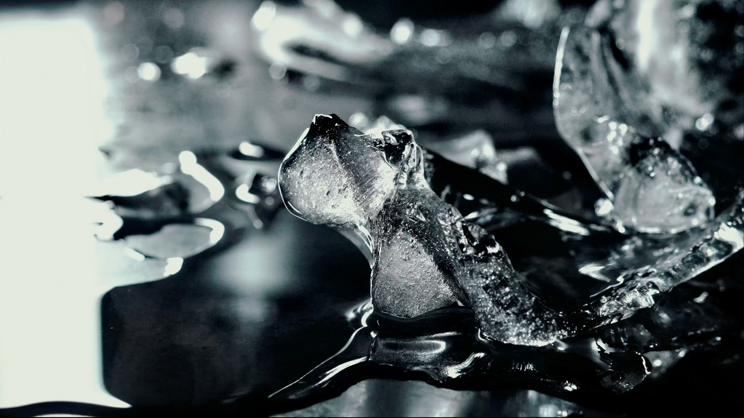 Лука Шарабидзе. Оператор. Лука Шарабидзе. Оператор, фотограф