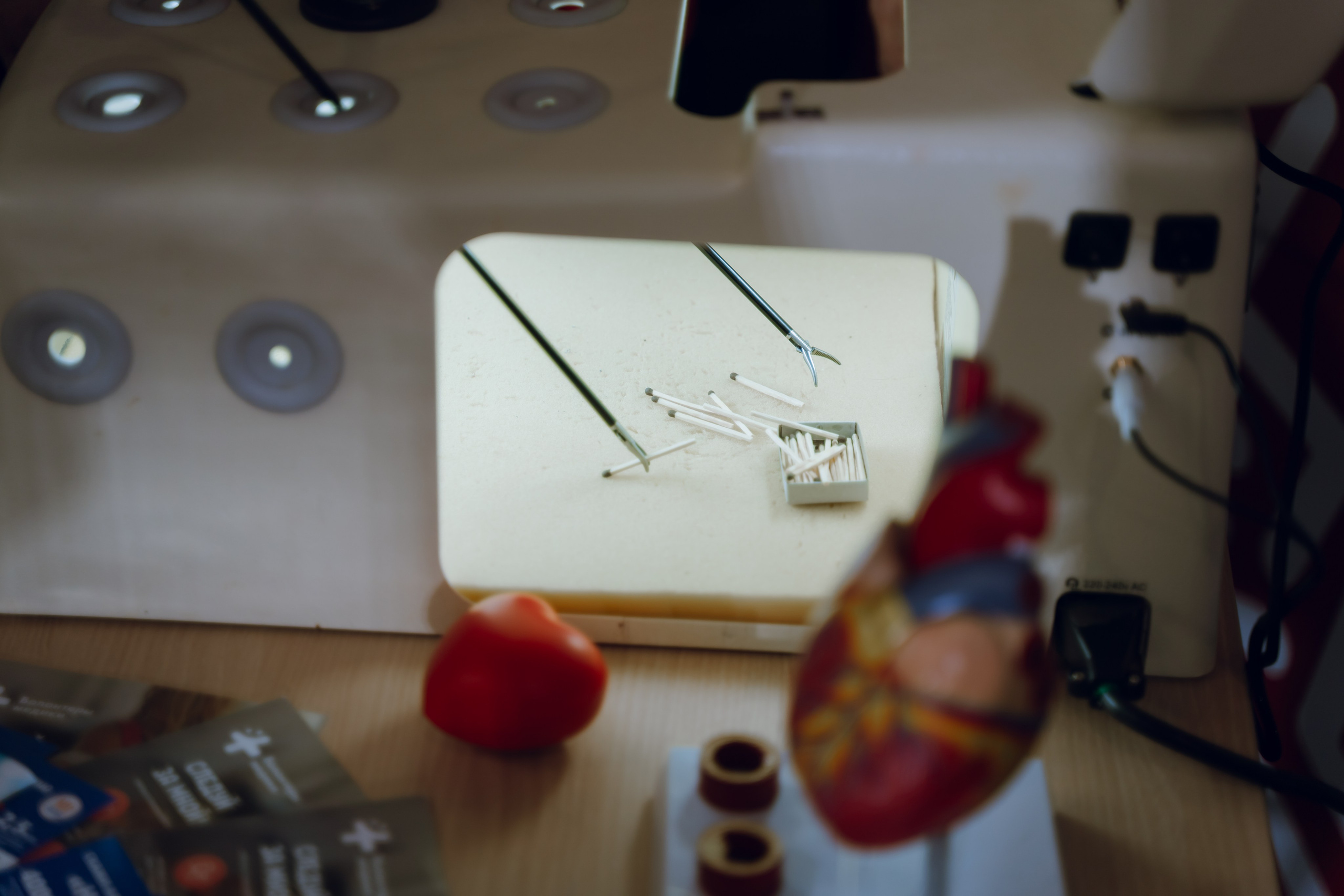 IX Форум добровольчества РО 2025. Фотограф Надежда Погребняк | Рязань | Москва