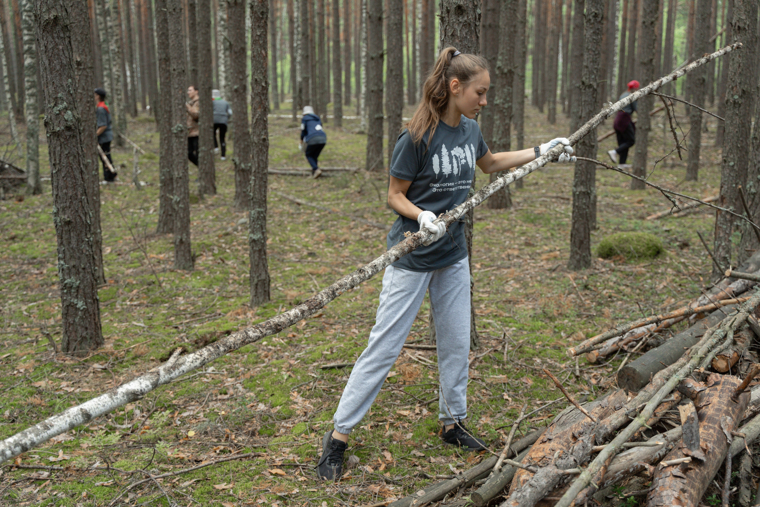 Эко-сборы добровольцев «О! Пушка» в национальном парке «Мещерский» 2024. Фотограф Надежда Погребняк | Рязань | Москва