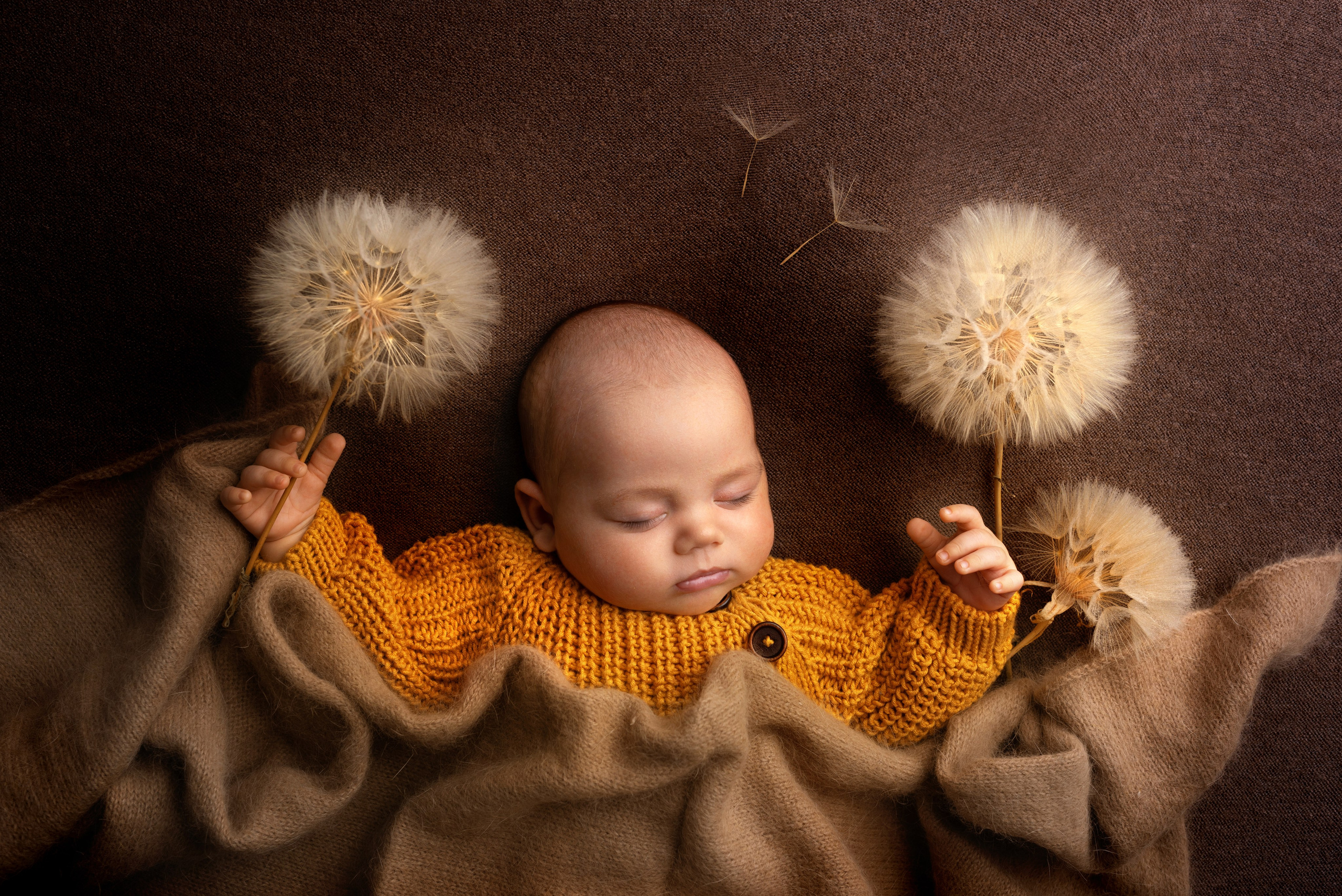 Сэм (1.5 месяца)