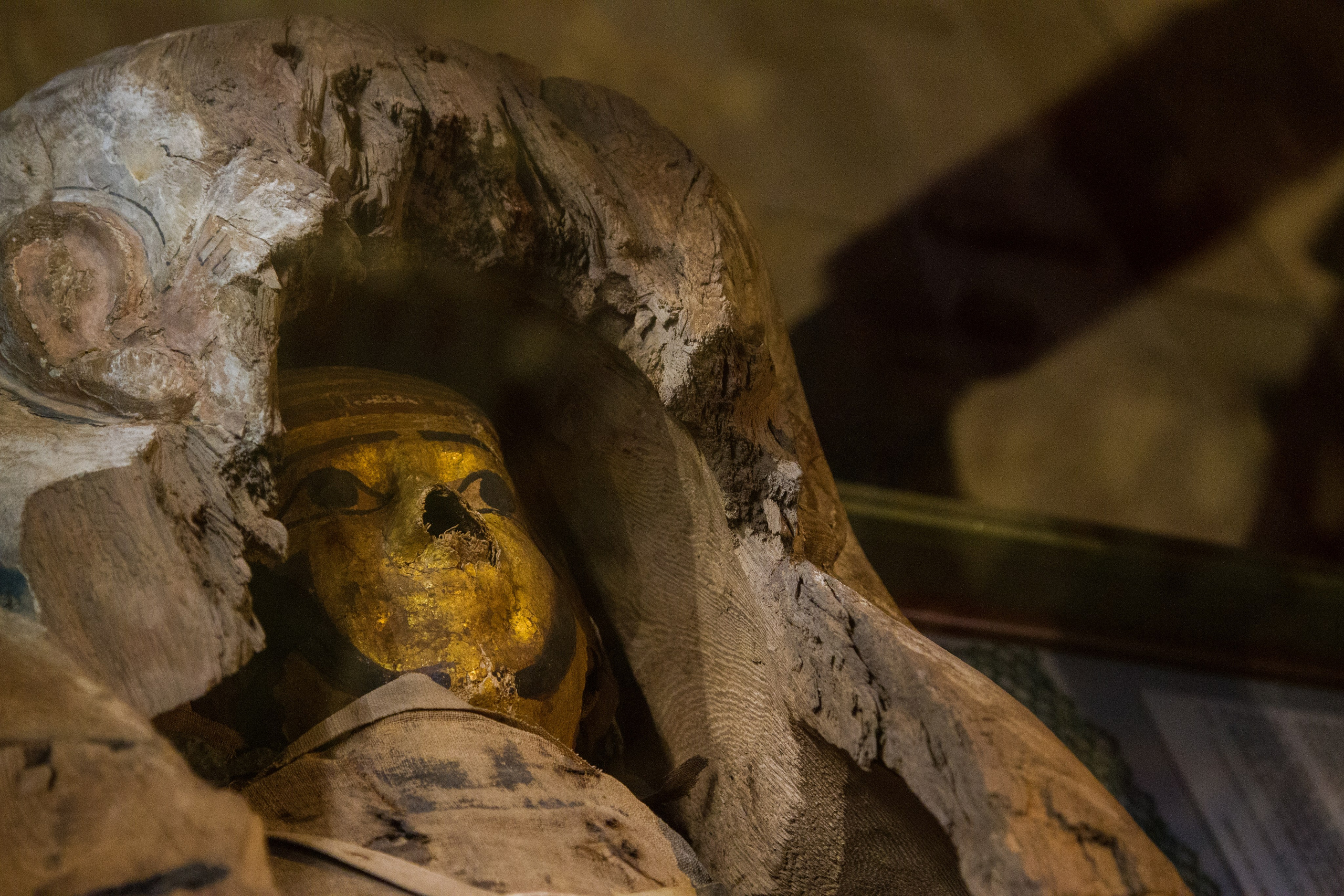 Австрия: Венский Хофбург. Дарья Письменюк / Darya Leitstern — фотограф, музыкант, журналист, путешественник