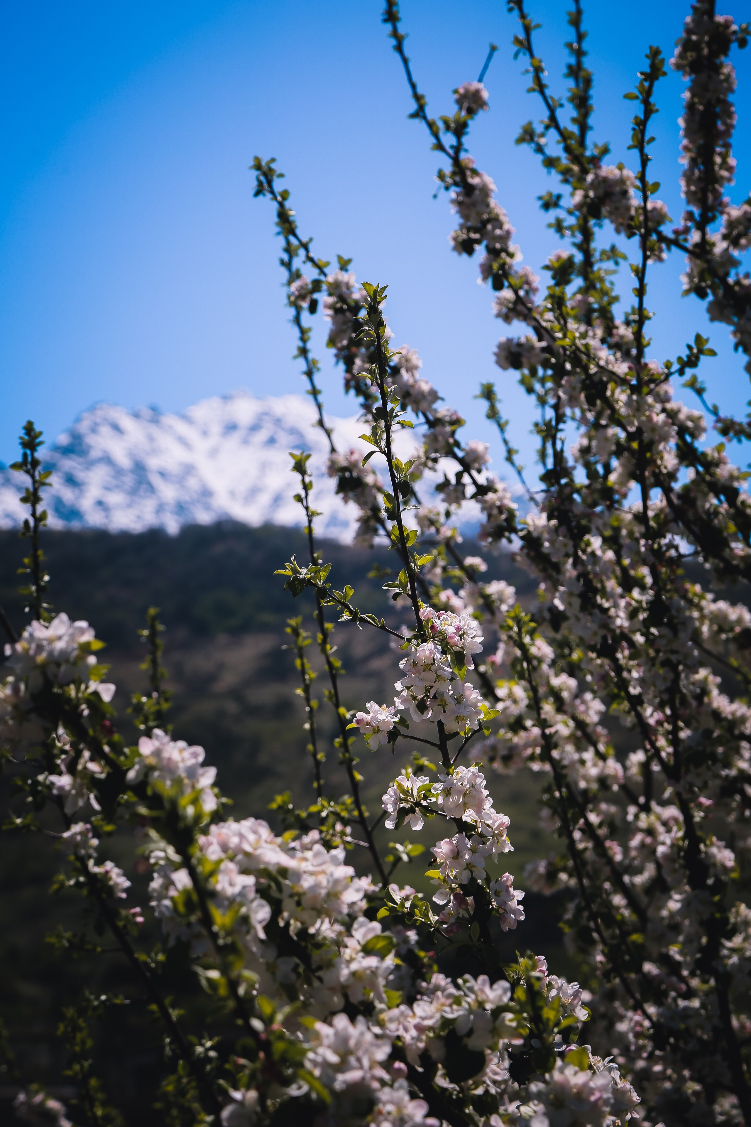 Кавказ: Северная Осетия. Дарья Письменюк / Darya Leitstern — фотограф, музыкант, журналист, путешественник