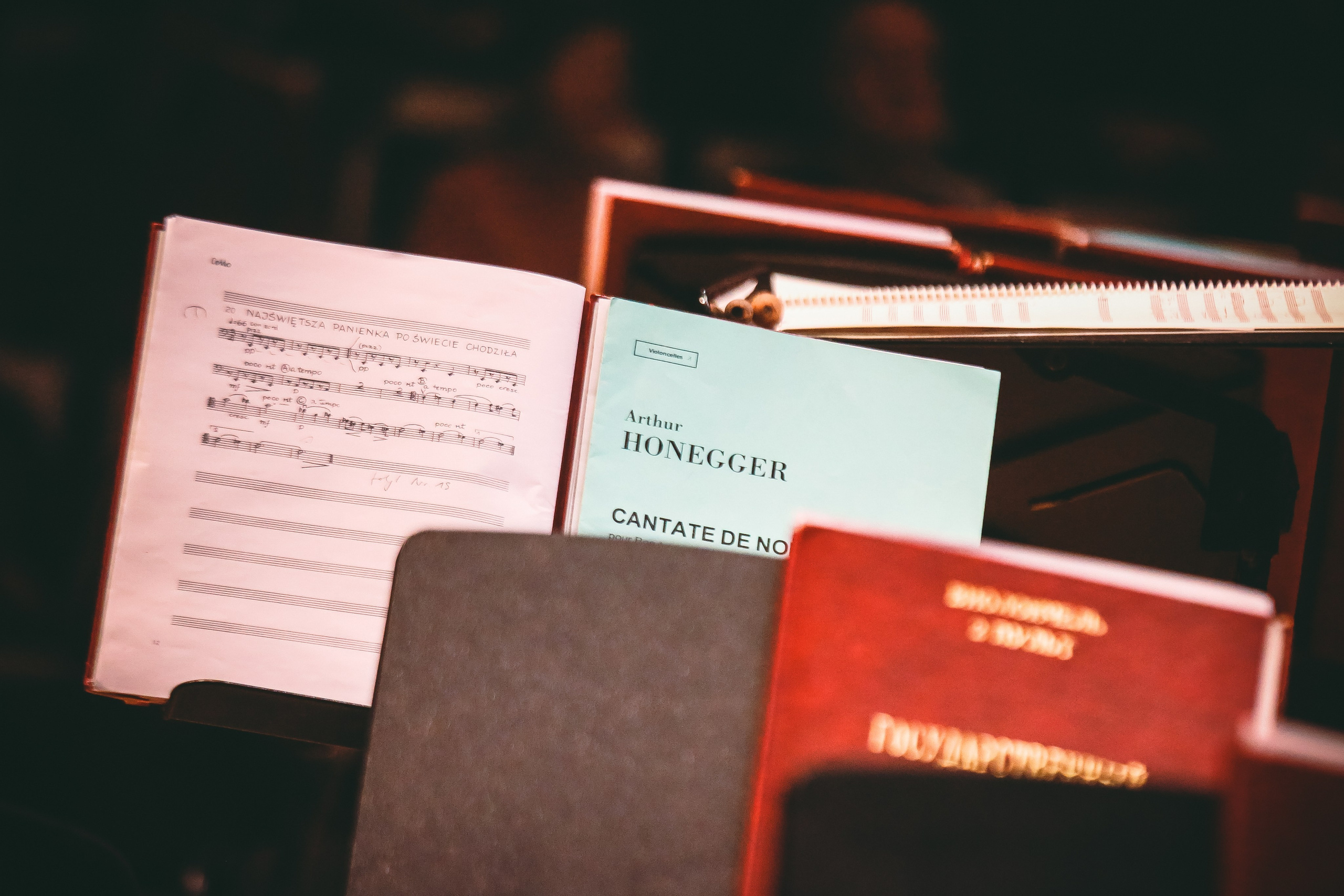 Рождественские концерты — зима 2019-2020. Дарья Письменюк / Darya Leitstern — фотограф, музыкант, журналист, путешественник