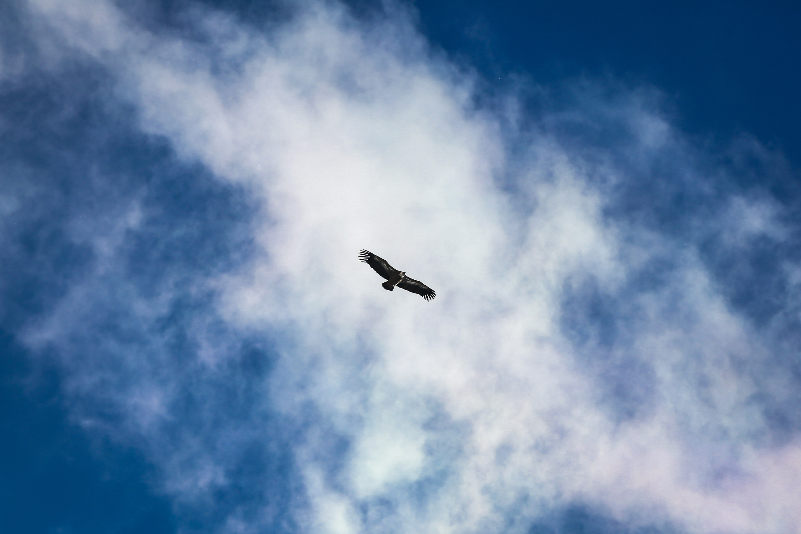 Кавказ: многоликий Дагестан. Дарья Письменюк / Darya Leitstern — фотограф, музыкант, журналист, путешественник