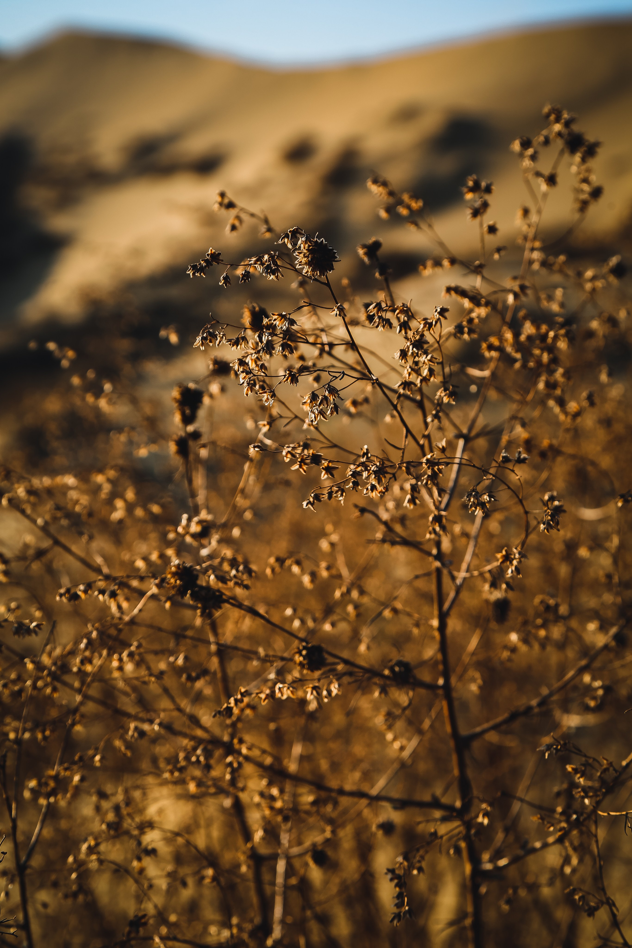 Кавказ: многоликий Дагестан. Дарья Письменюк / Darya Leitstern — фотограф, музыкант, журналист, путешественник