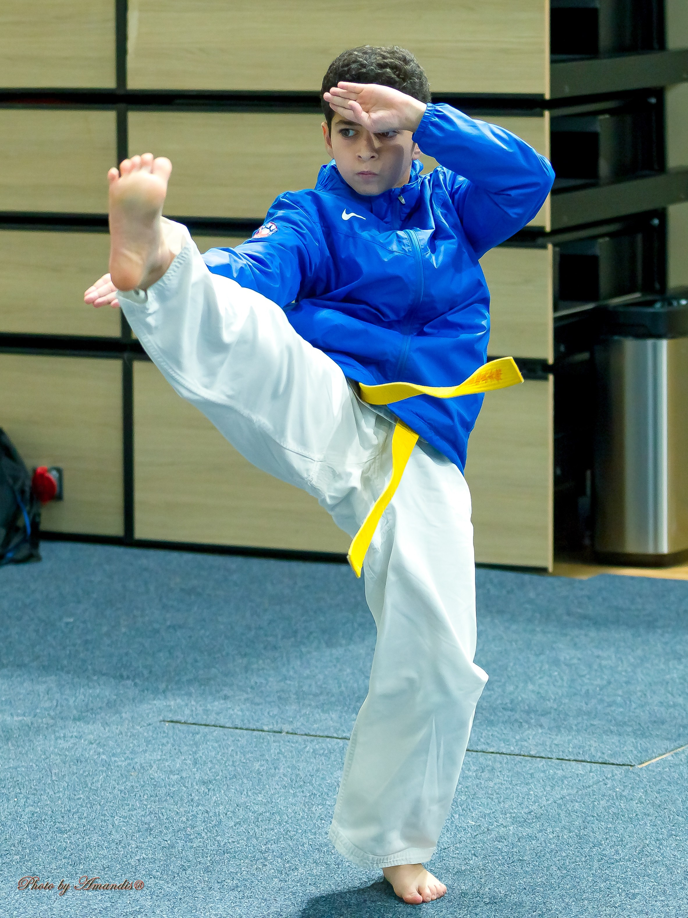 Первенство Московской области по Киокушин в СК «Жаворонки». Репортажная съемка в Москве и области. Анималистика