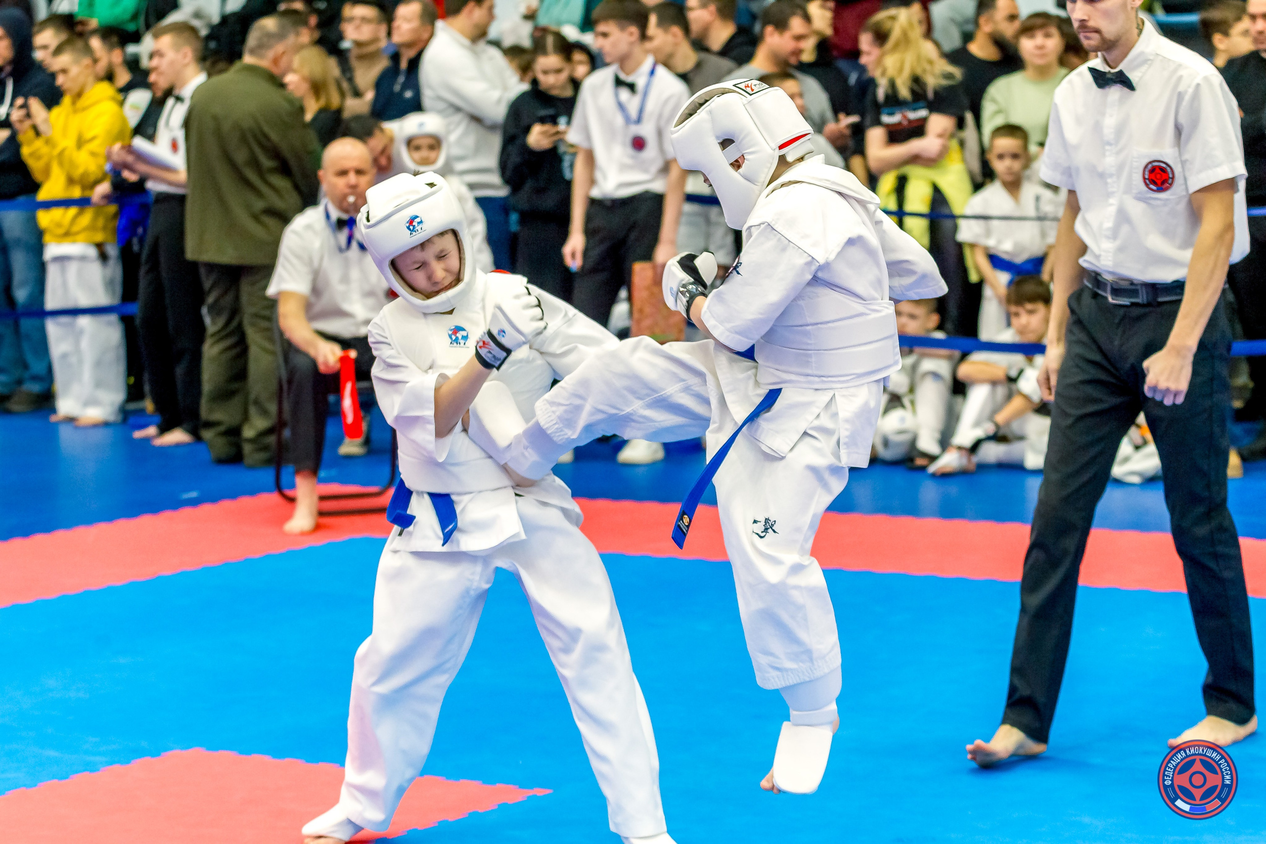 Международный турнир по киокушин «Открытый кубок Seiken». Репортажная съемка в Москве и области. Анималистика