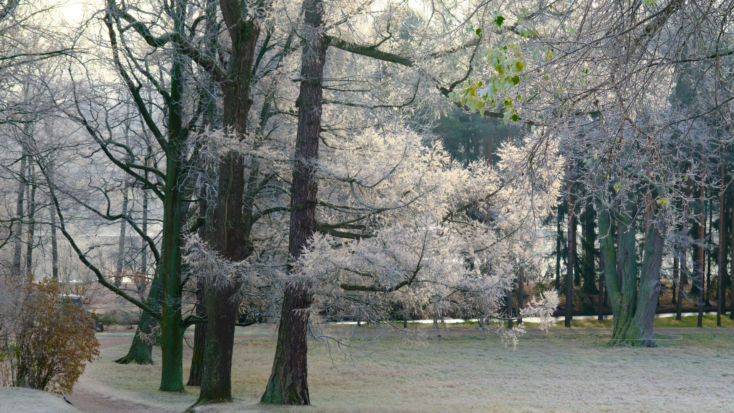 Времена года. Пейзажи Крайнего Севера. Баренцево море, Рыбачий, Средний, Немецкий