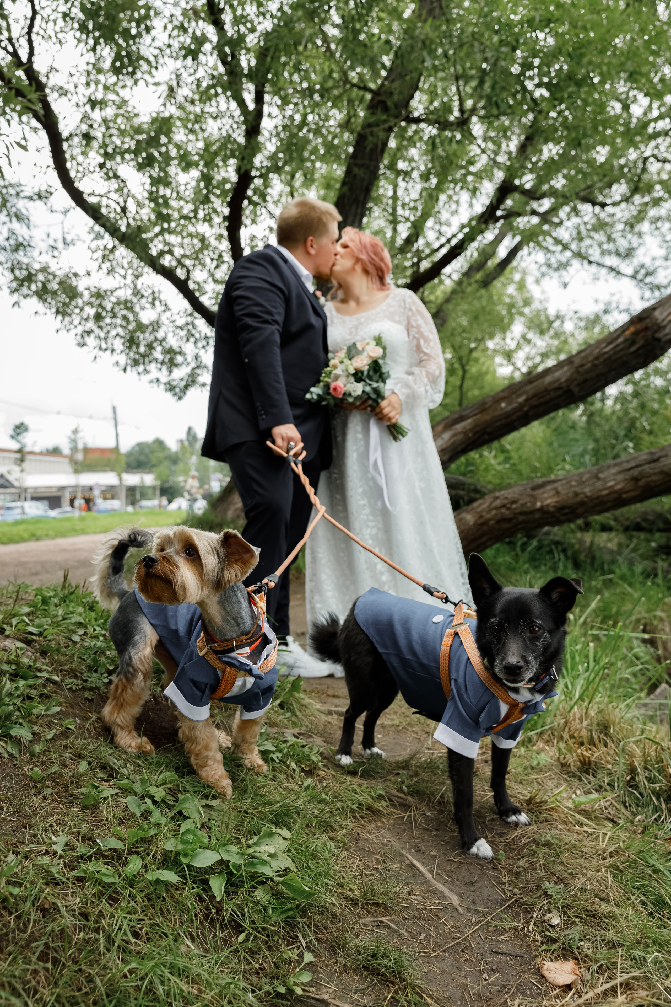 Кирилл и Екатерина. Свадебный фотограф, крещение, венчание СПБ, Белгород Анна Коршунова