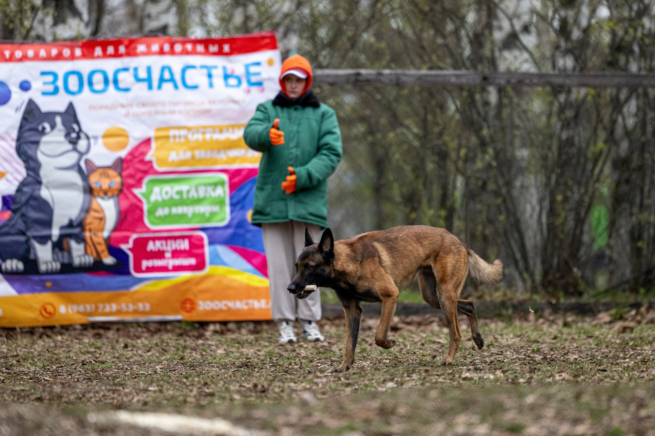 Квалификационные состязания по мондьорингу г. Вологда 11.05.24. Фотограф-анималист Анна Маринич