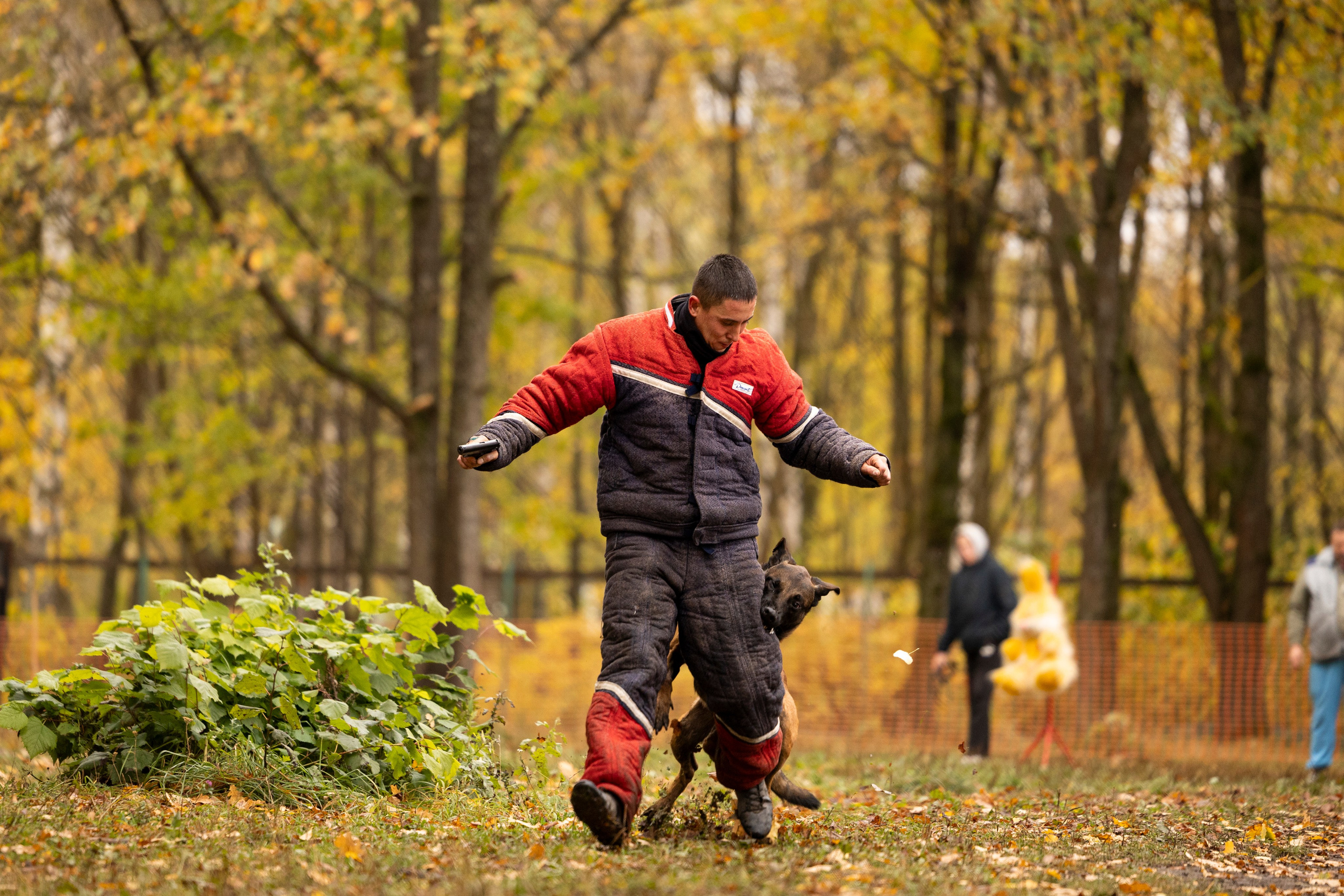 Соревнования по Мондьорингу г. Вологда. Фотограф-анималист Анна Маринич
