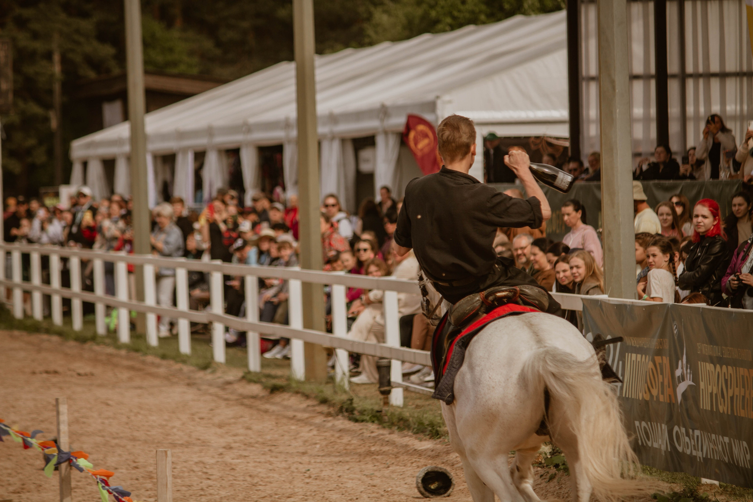 ИППОСФЕРА — Международная конная выставка. Создадим шедевр? Виталина и её фотоискусство