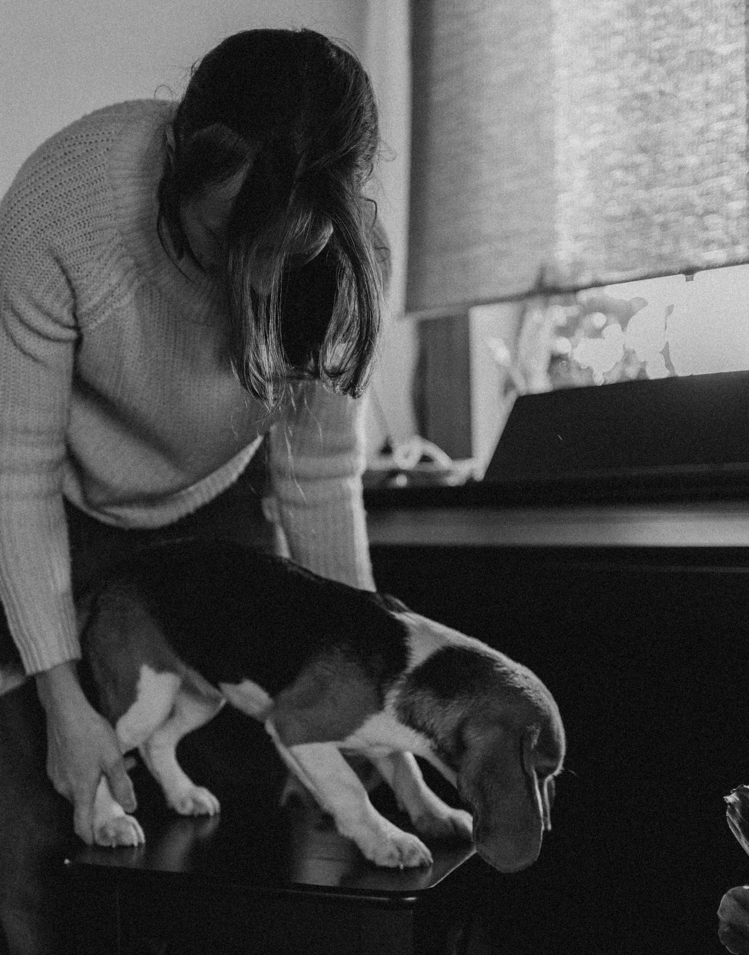 Маша, бигль Вера и её ферма. Семейный фотограф в Москве Алёна Чача