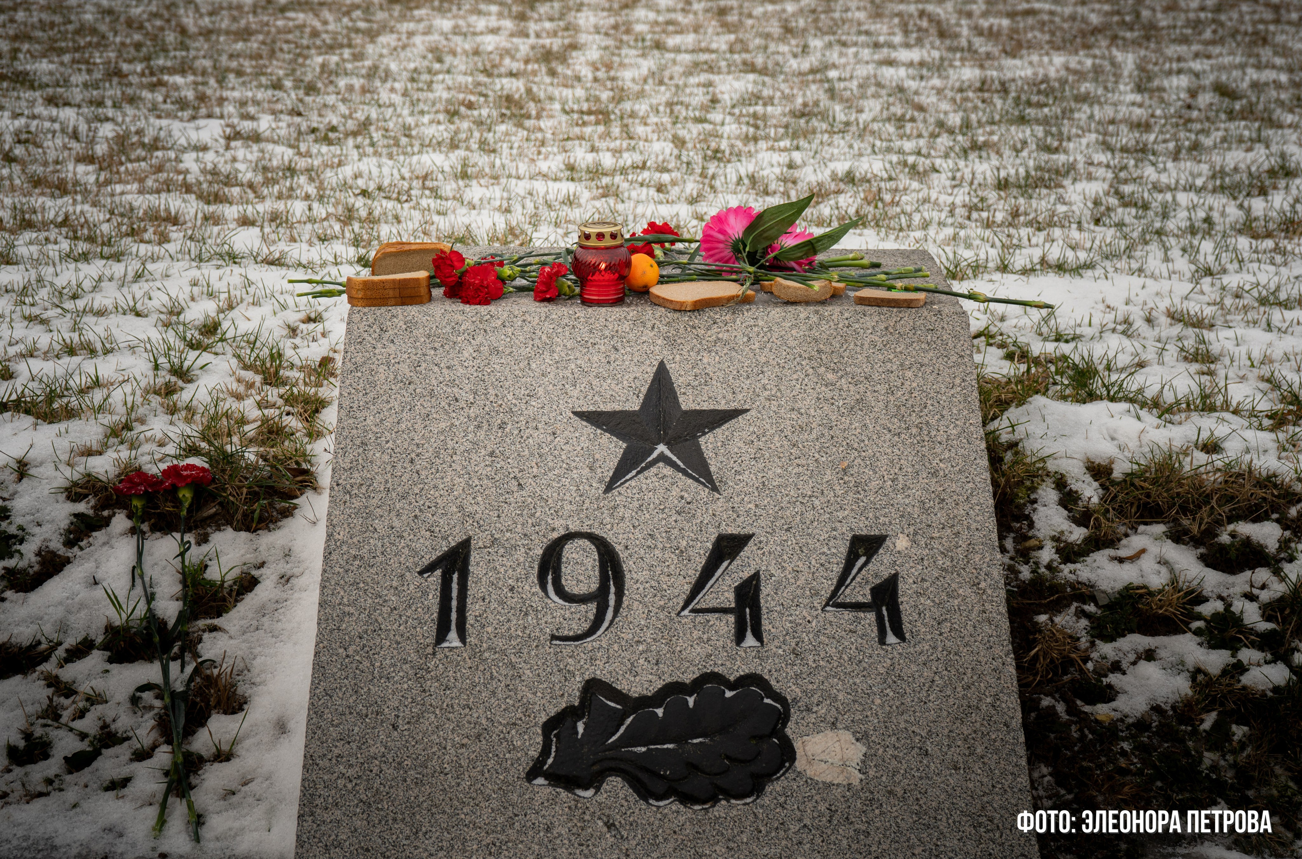 27 января. Видеограф, фотограф в Санкт-Петербурге Элеонора Петрова