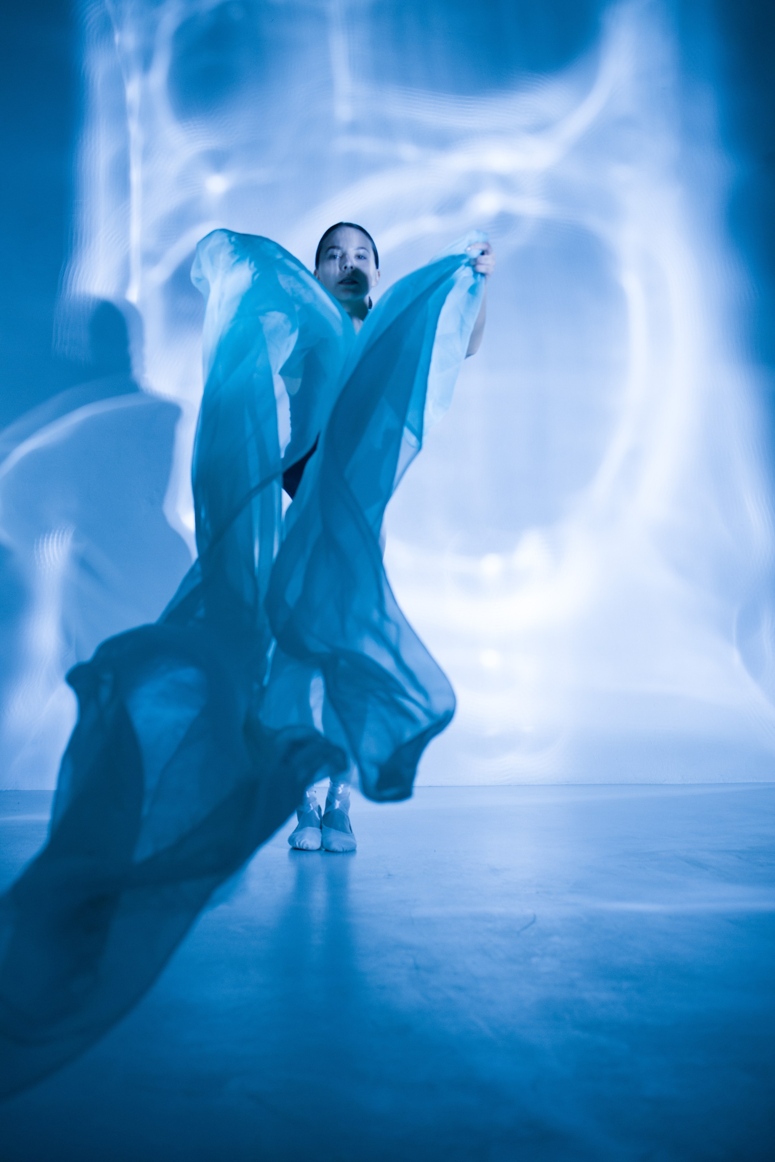 Лилия. Художественная фотография