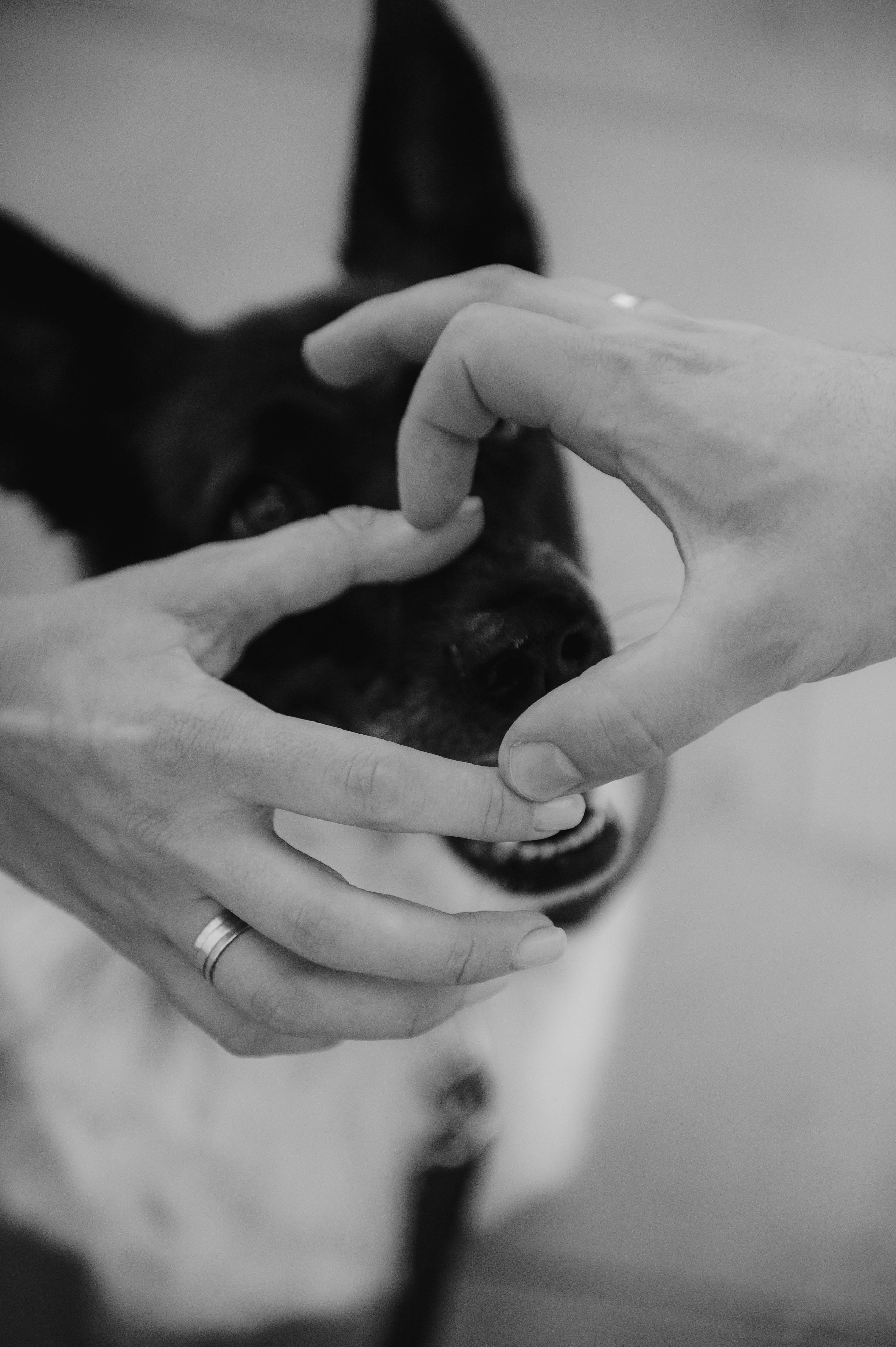 Олеся, Саша и Юка (Королев, 2024). Анна Пушина, фотограф, Москва, Королев, Пушкино